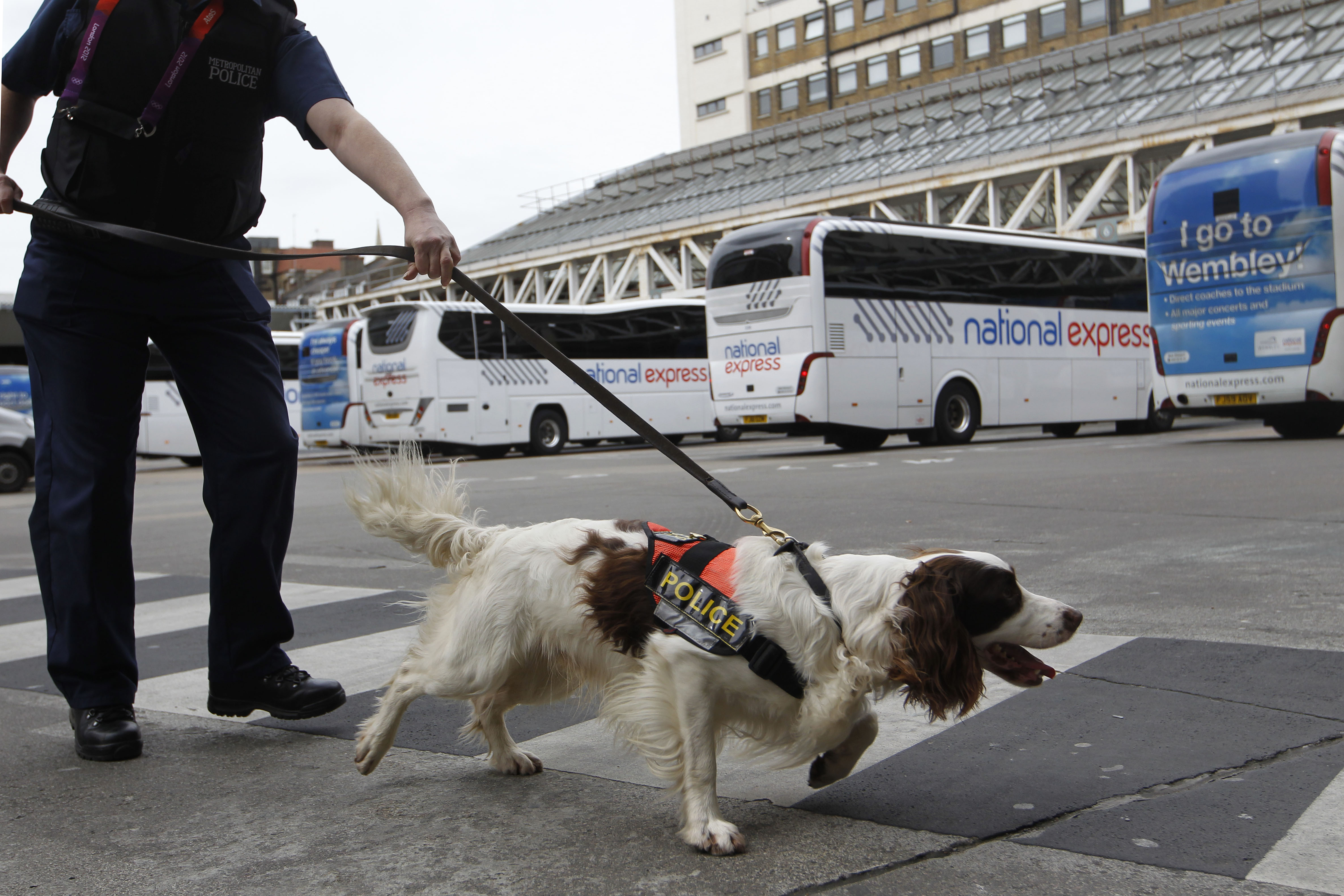 drug sniffing dog uk