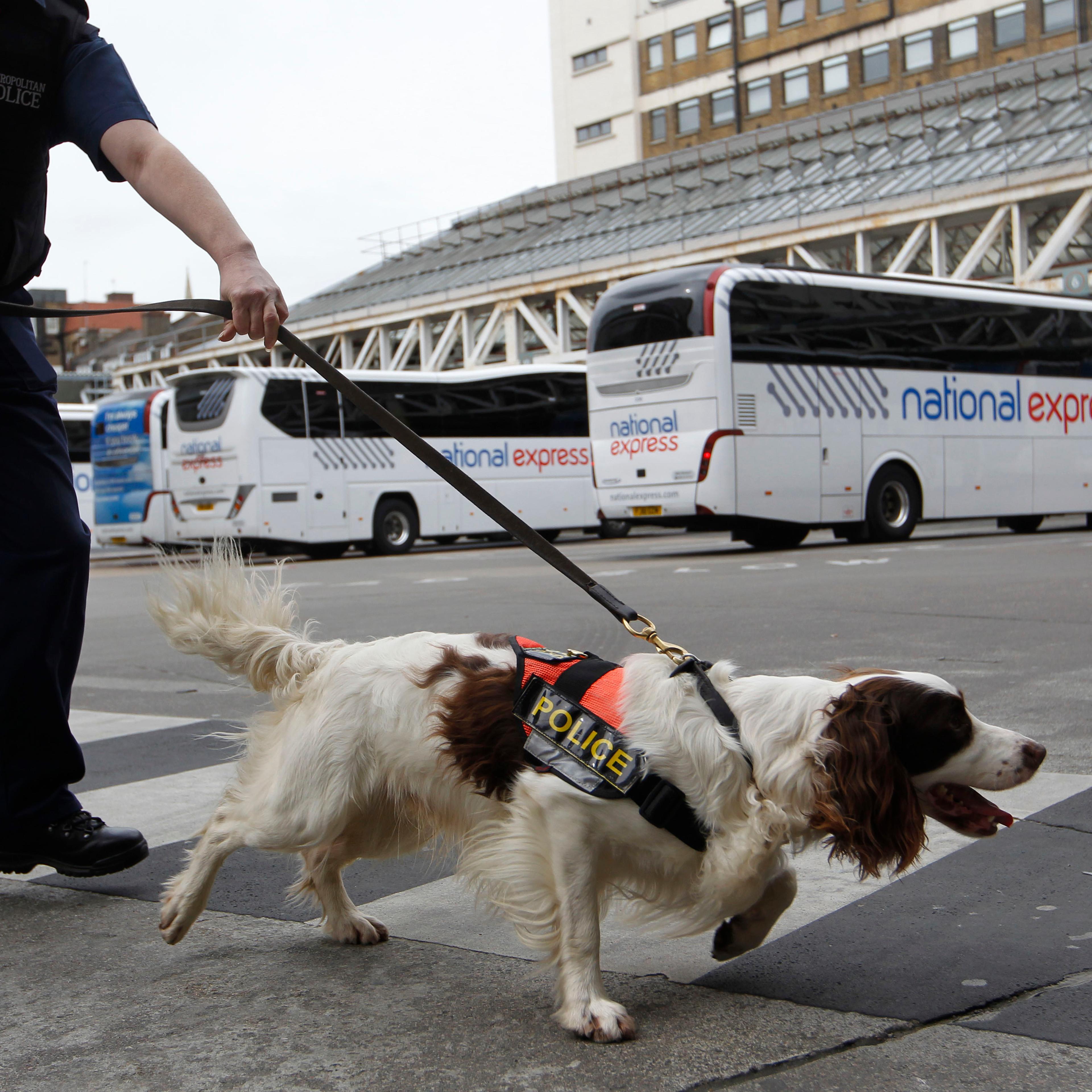 drug sniffing dog uk