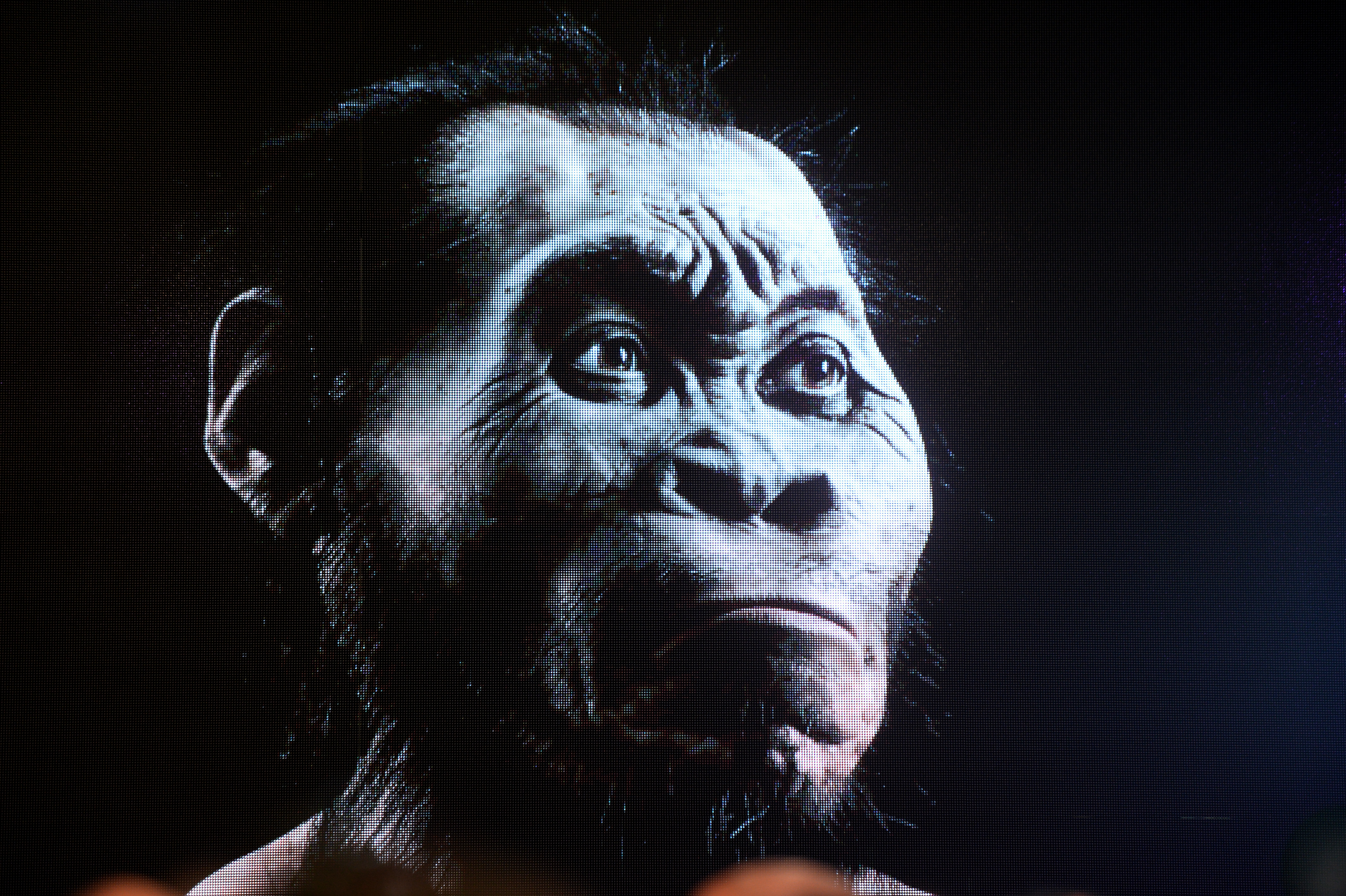 Homo Naledi, New Species, Unveiled in South Africa
