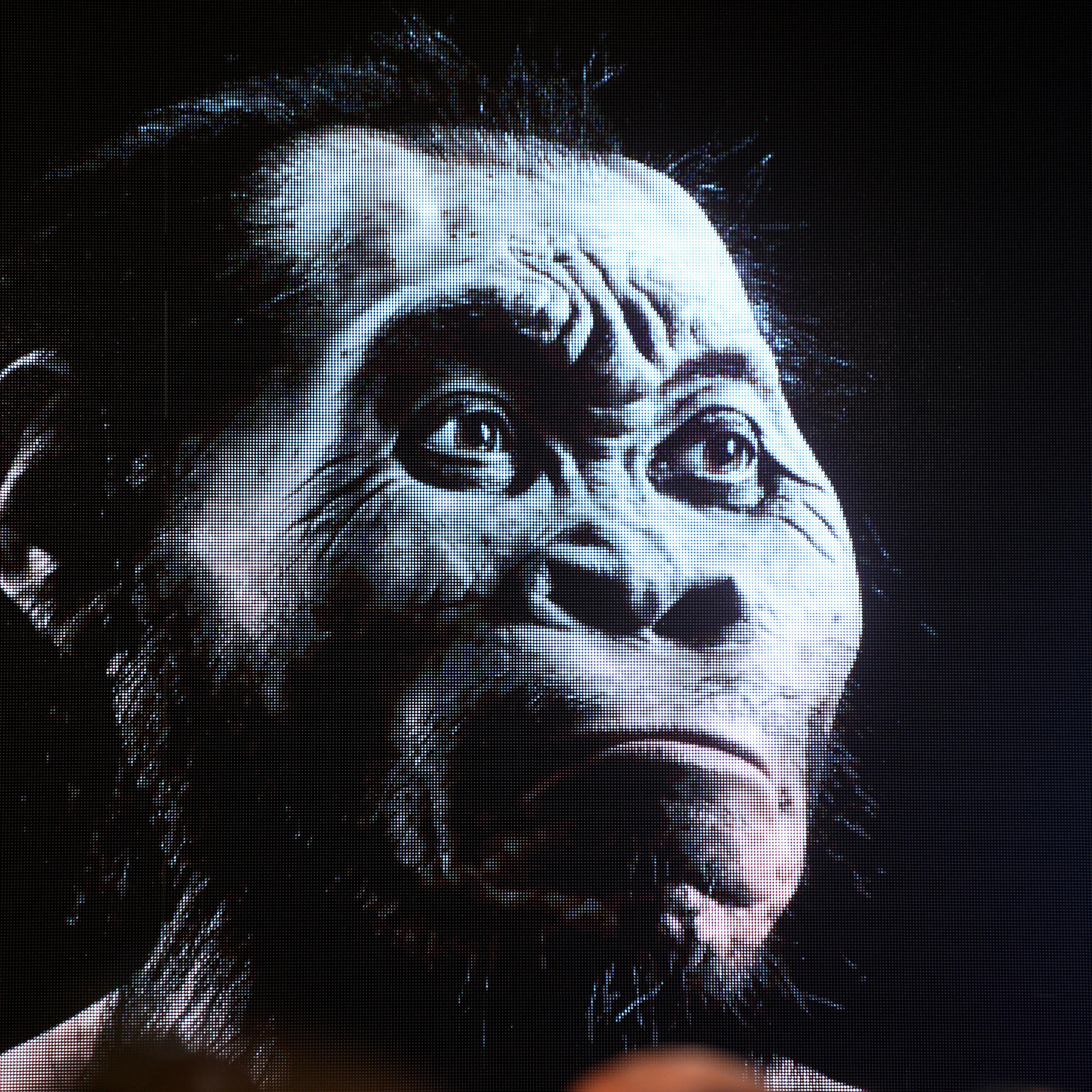 Homo Naledi, New Species, Unveiled in South Africa