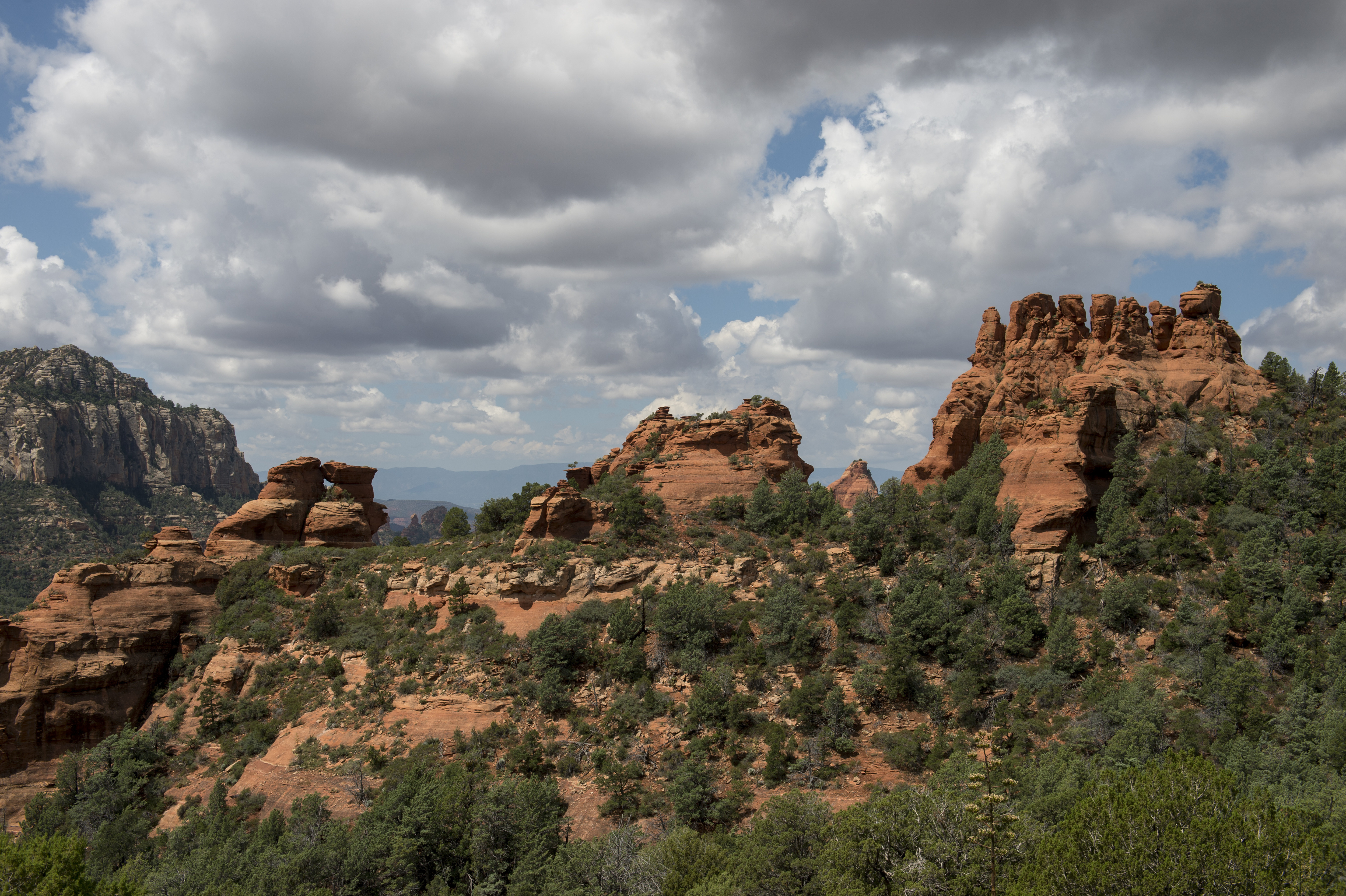 View of the red rock formations from Schnebly Hill Road near Sedona, Arizona, USA.