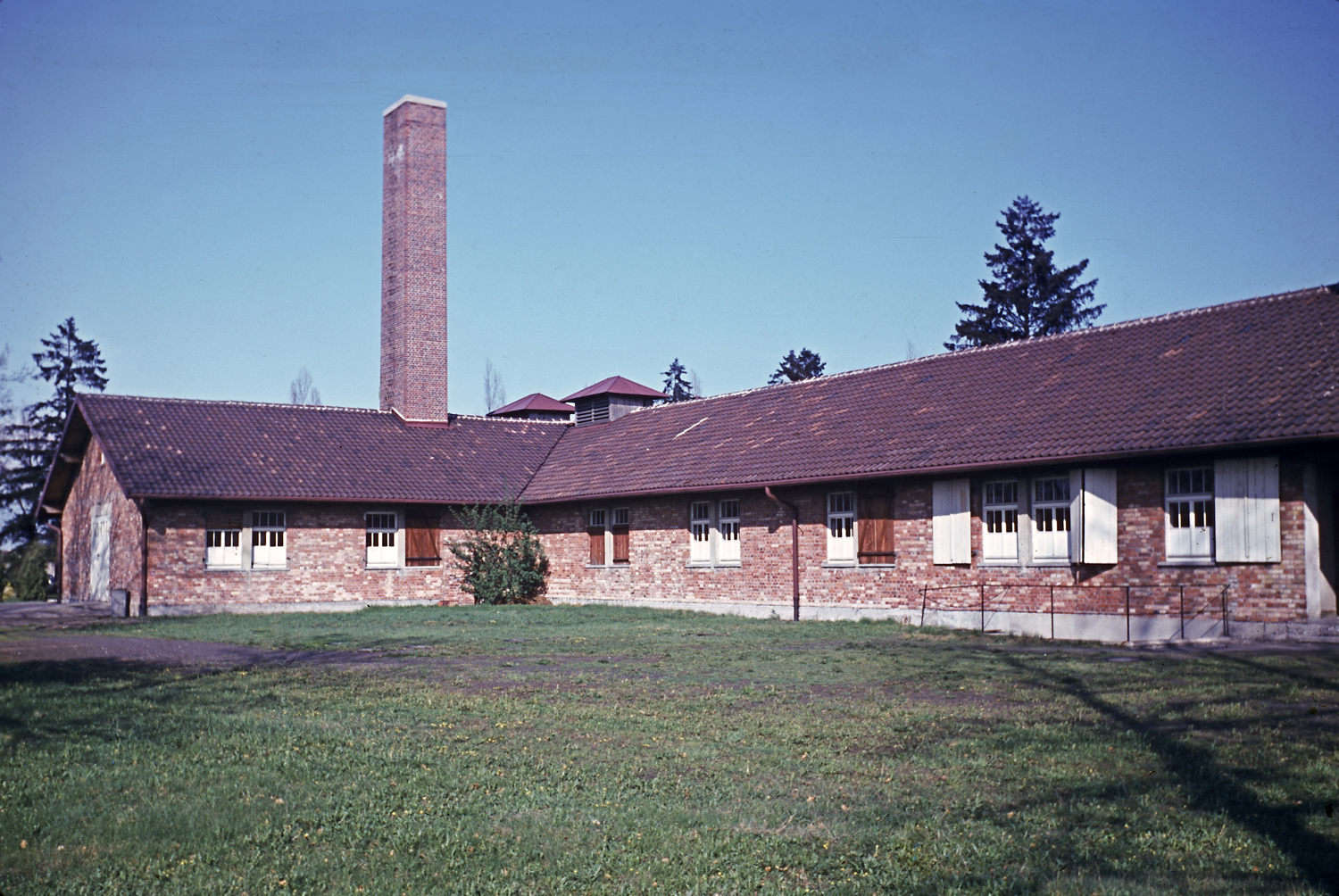 Dachau, 1950.