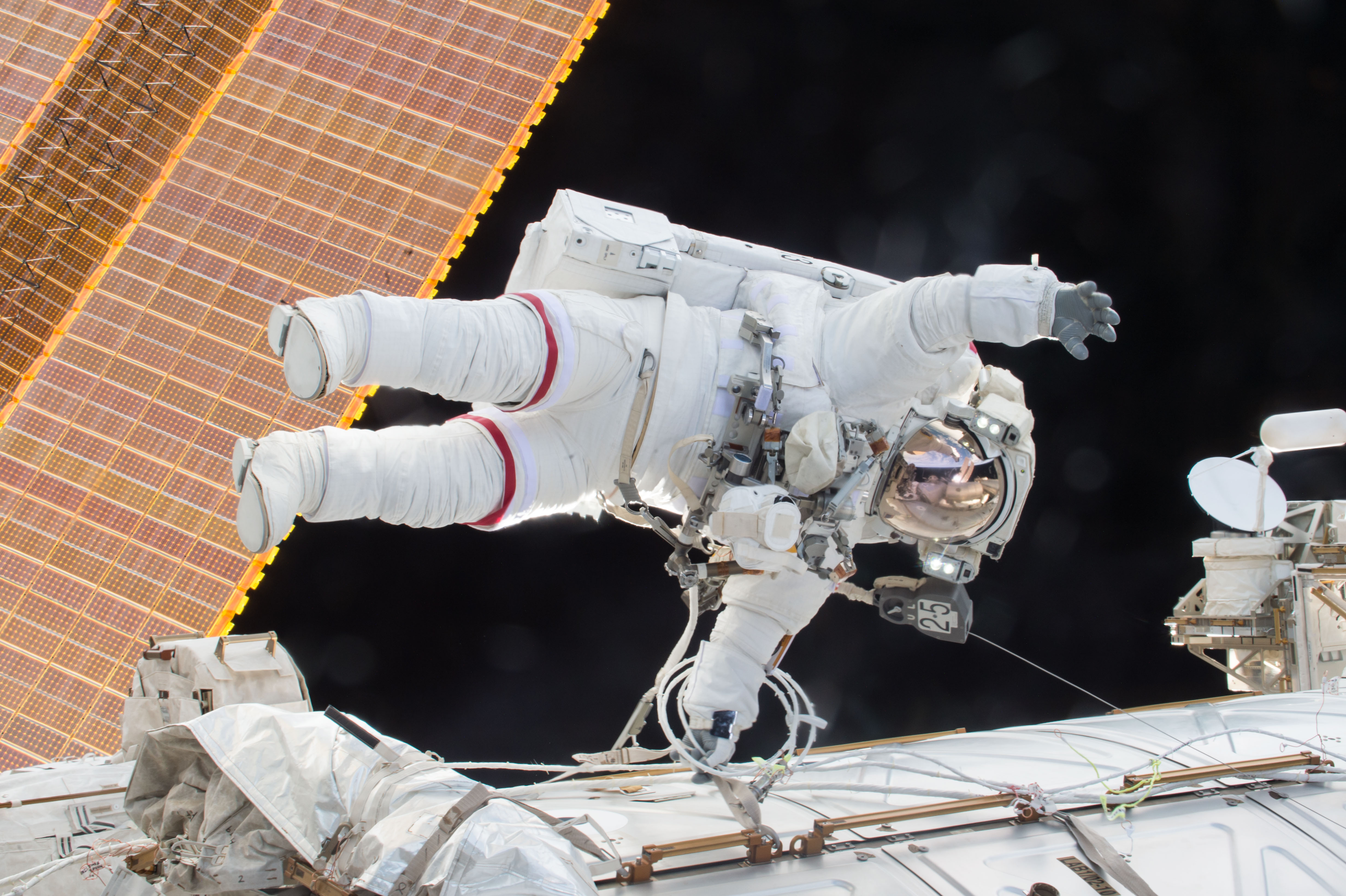 Expedition 46 Commander Scott Kelly on Dec. 21, 2015.