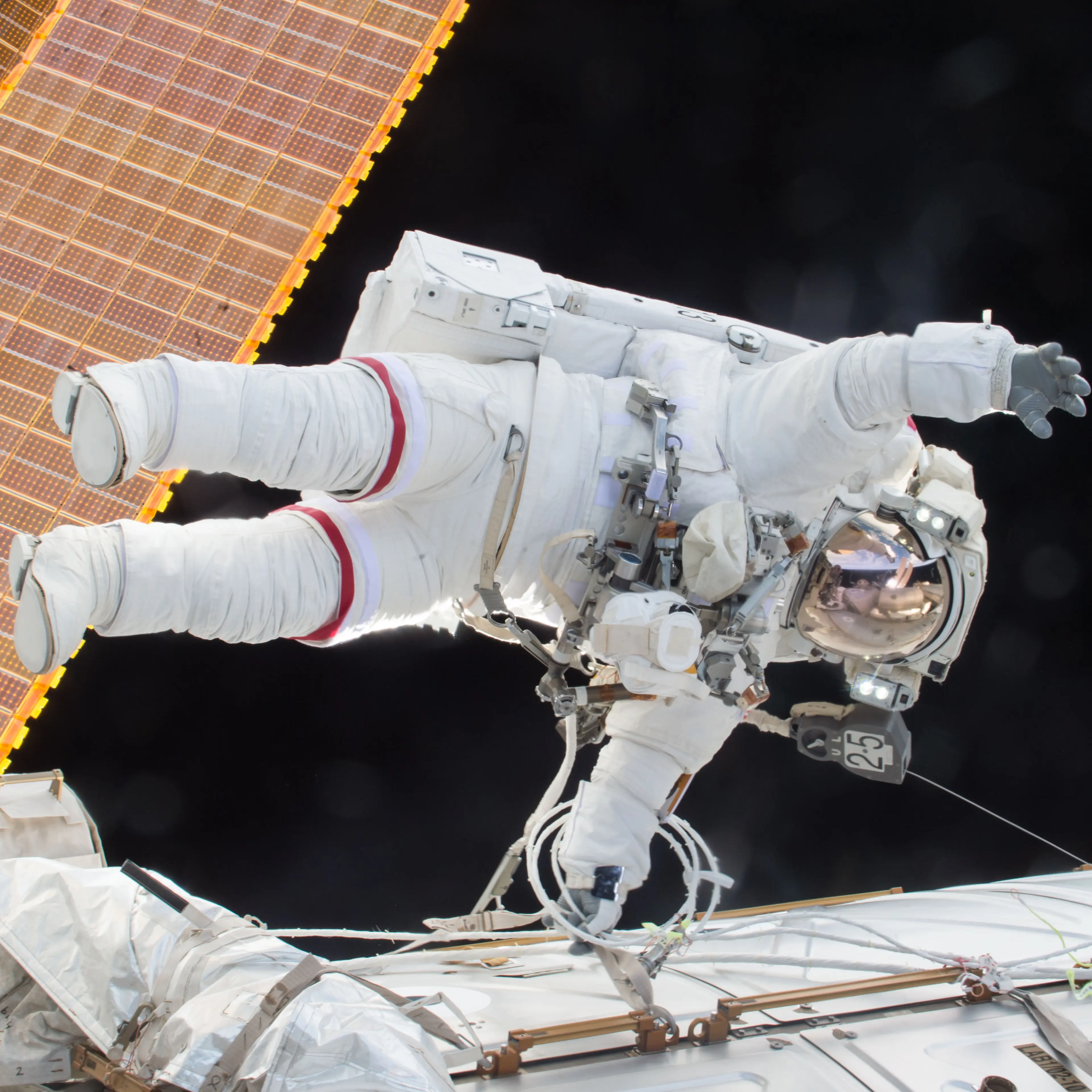 Expedition 46 Commander Scott Kelly on Dec. 21, 2015.