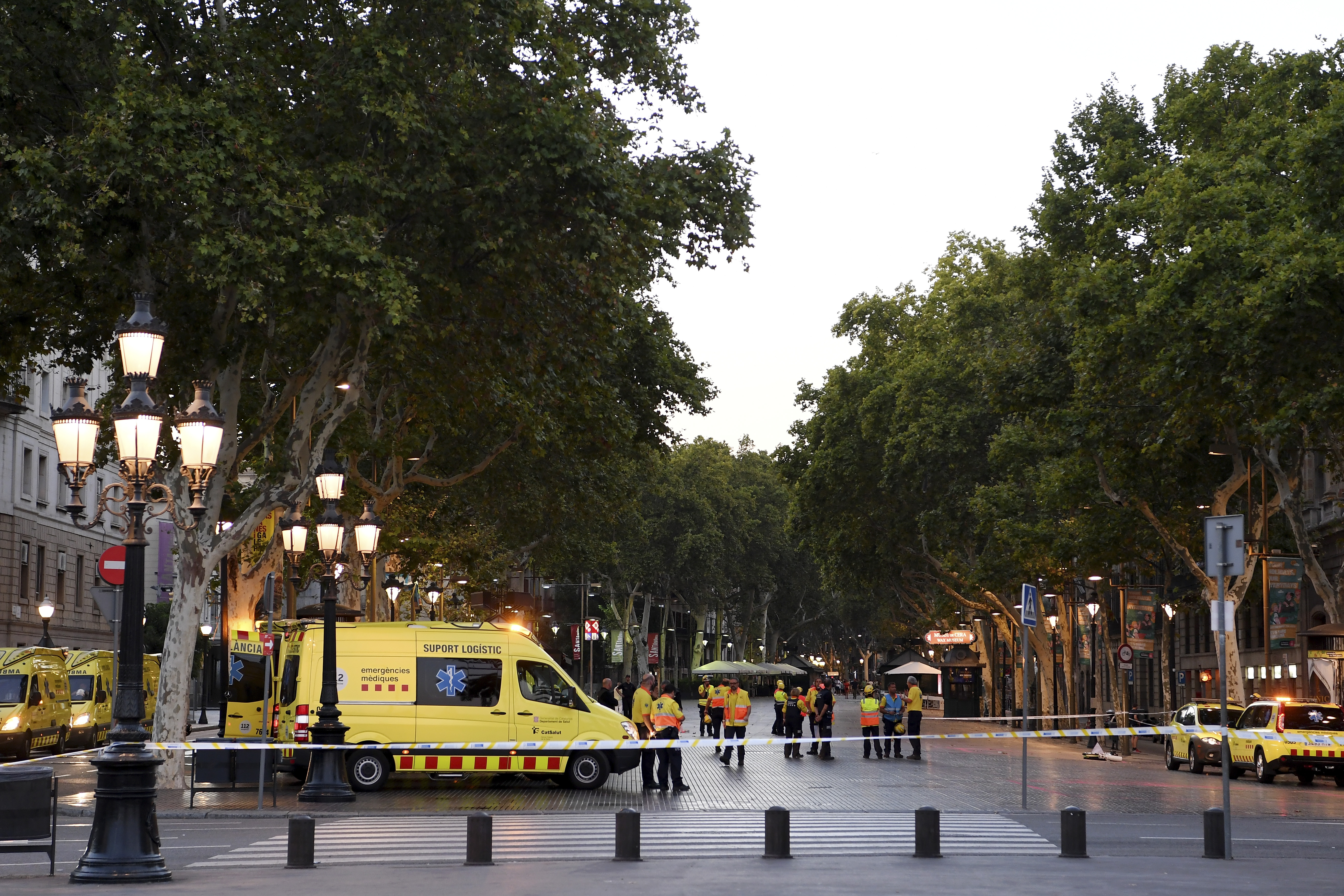 barcelona attack cat photos post police