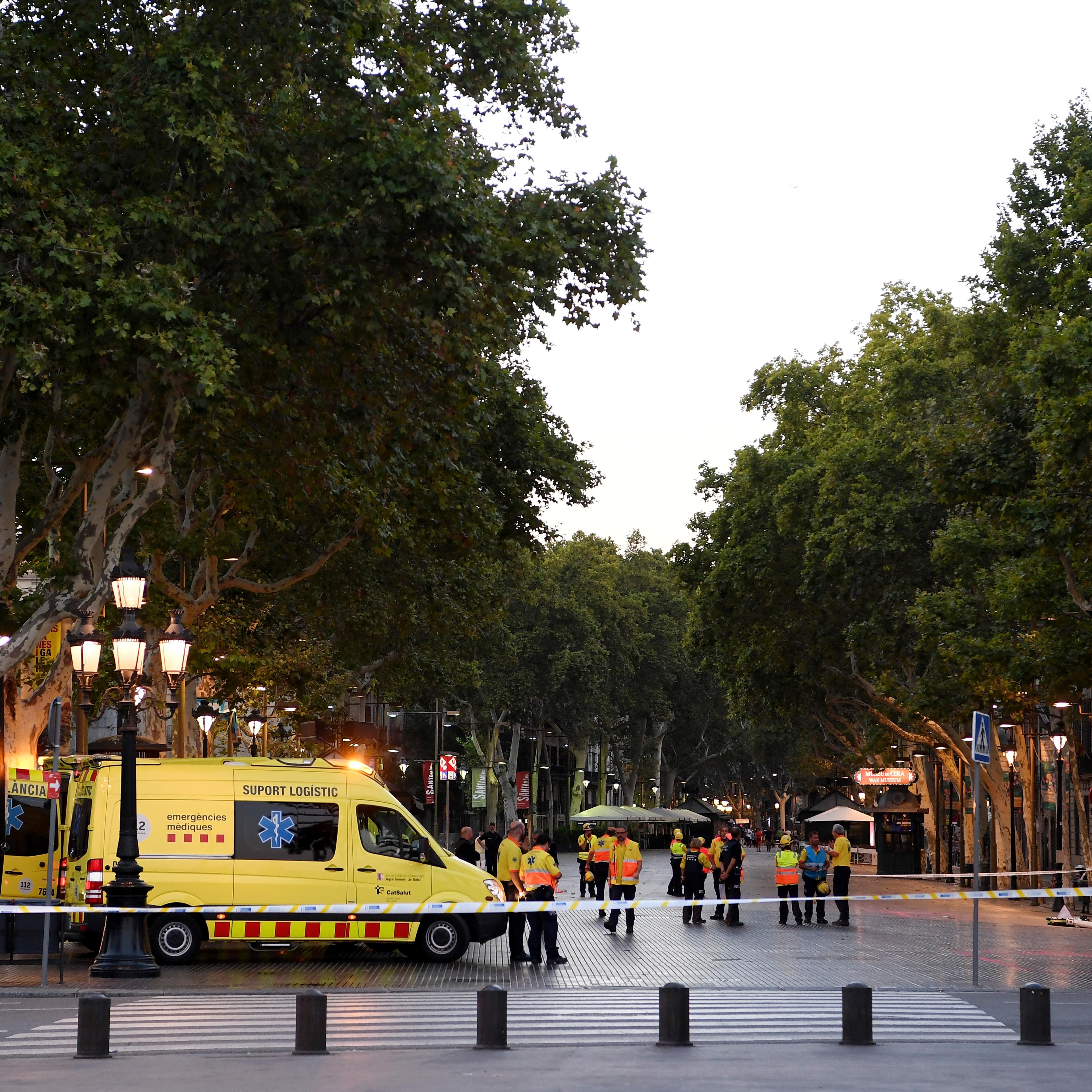 barcelona attack cat photos post police