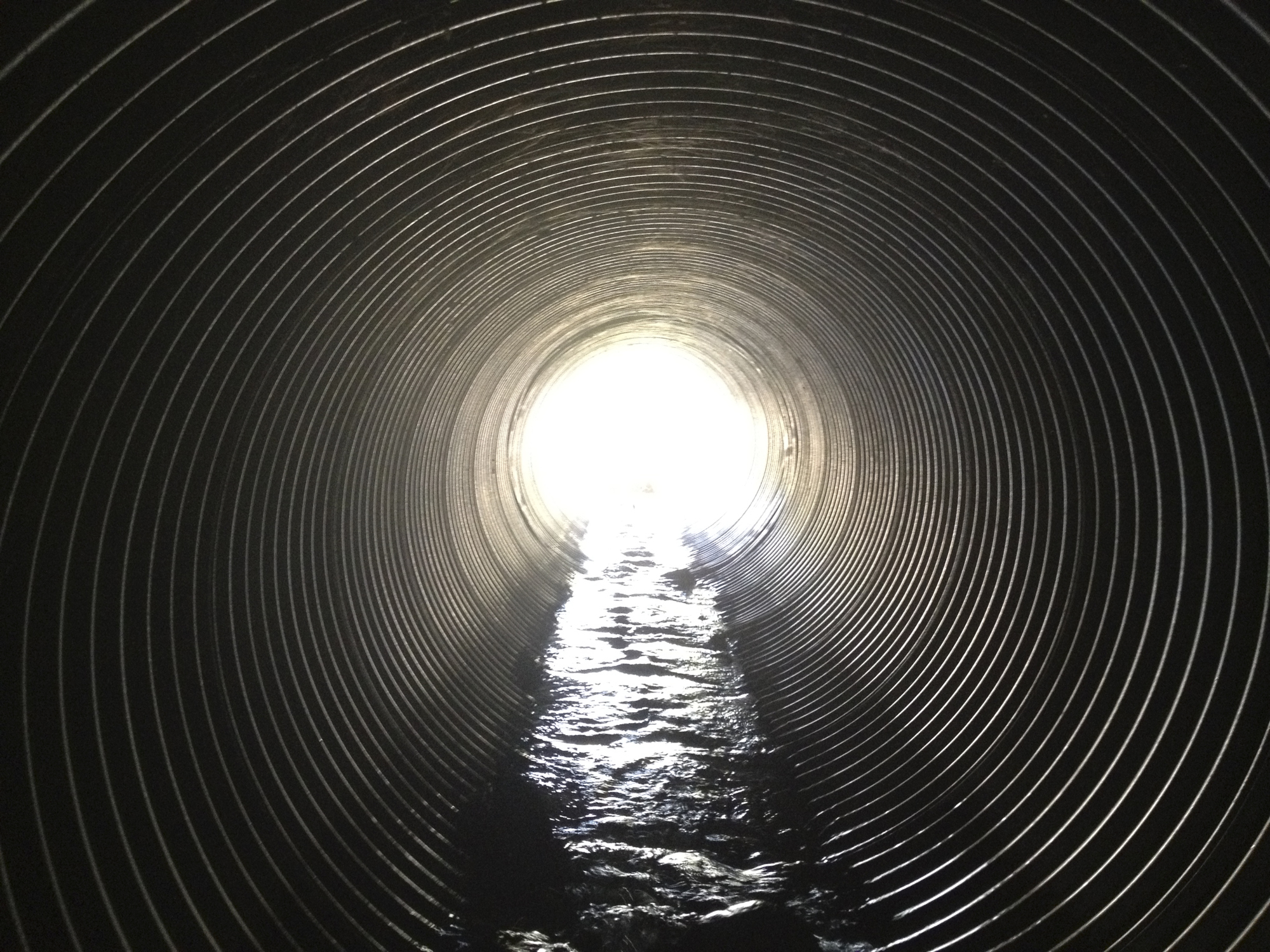 wastewater-analysis