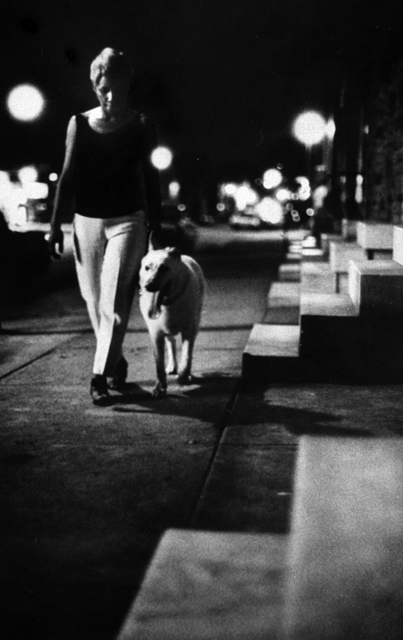 Past the darkened marble stoops that are Baltimore's hallmark, Mrs. Barbara Ringgold walks home after working late—escorted by Tiny, her German shepherd.