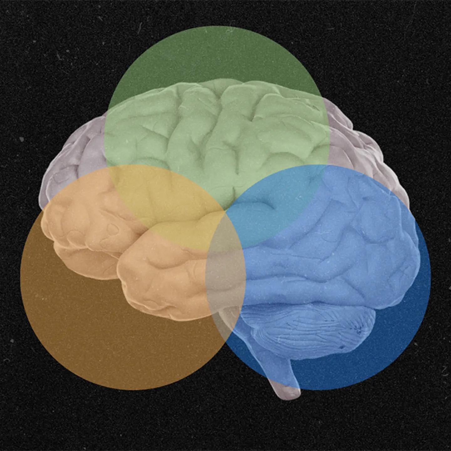 Personality tests useful