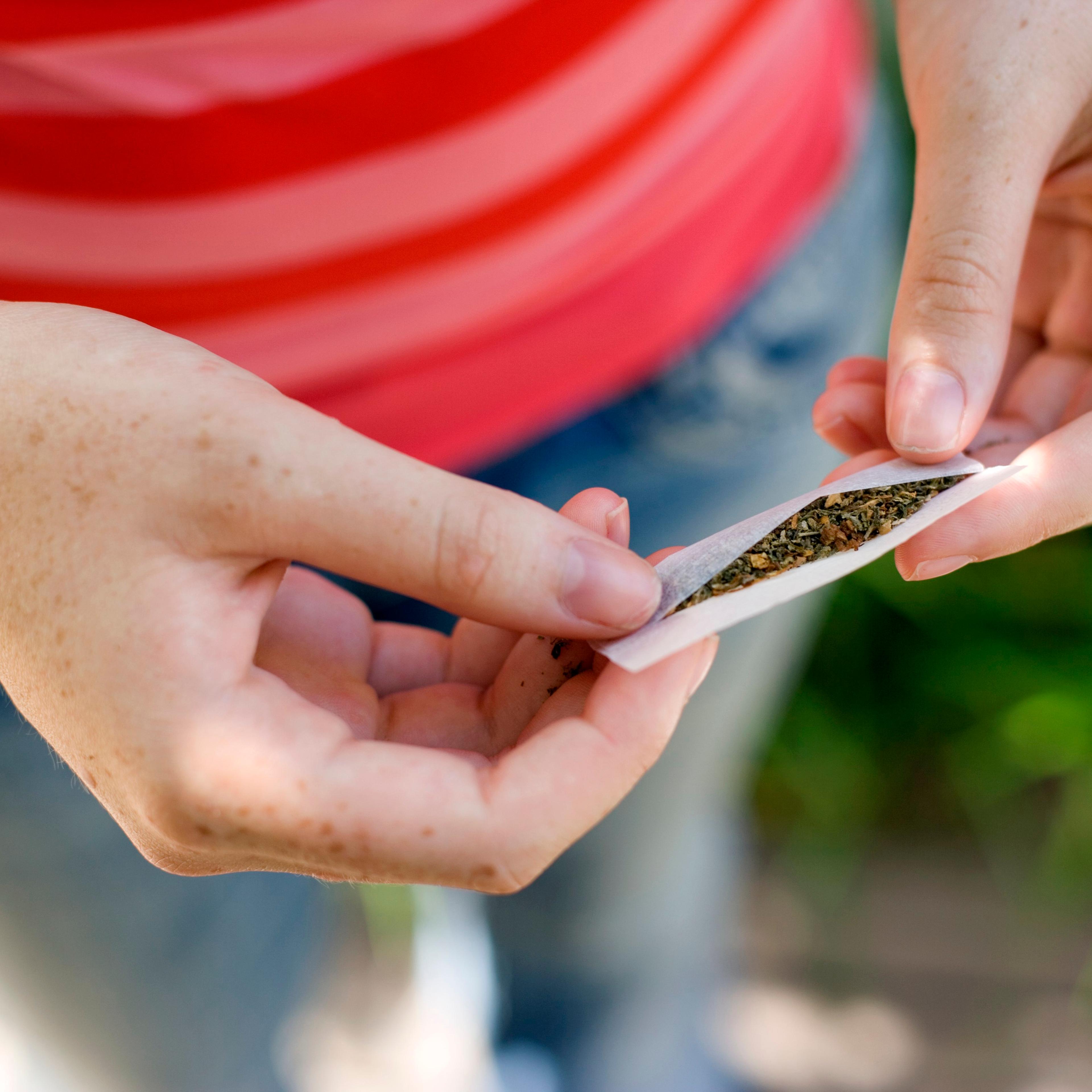 Girl holding marijuana in hand , close-up