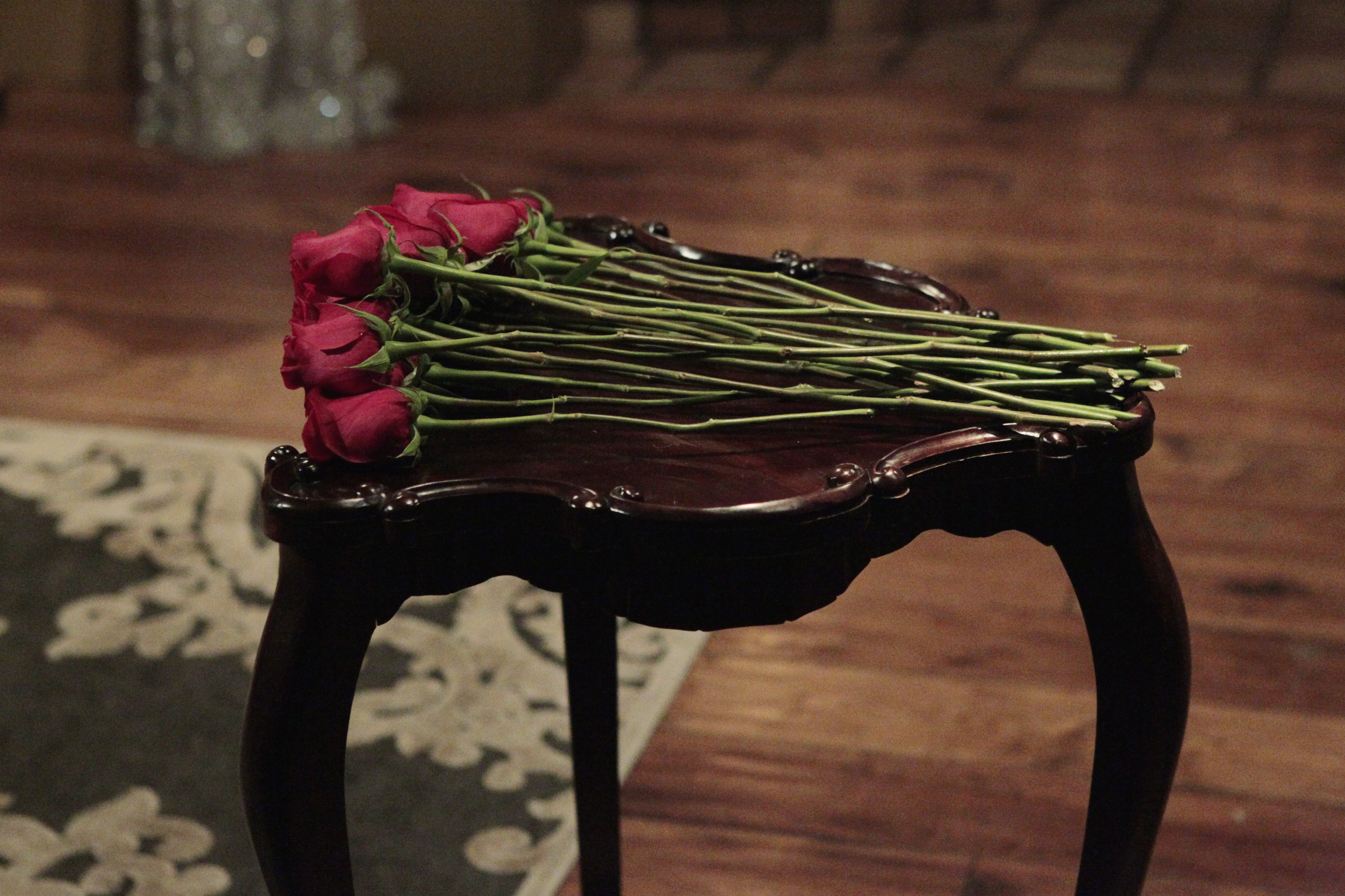 ABC's "The Bachelor" - Season 20