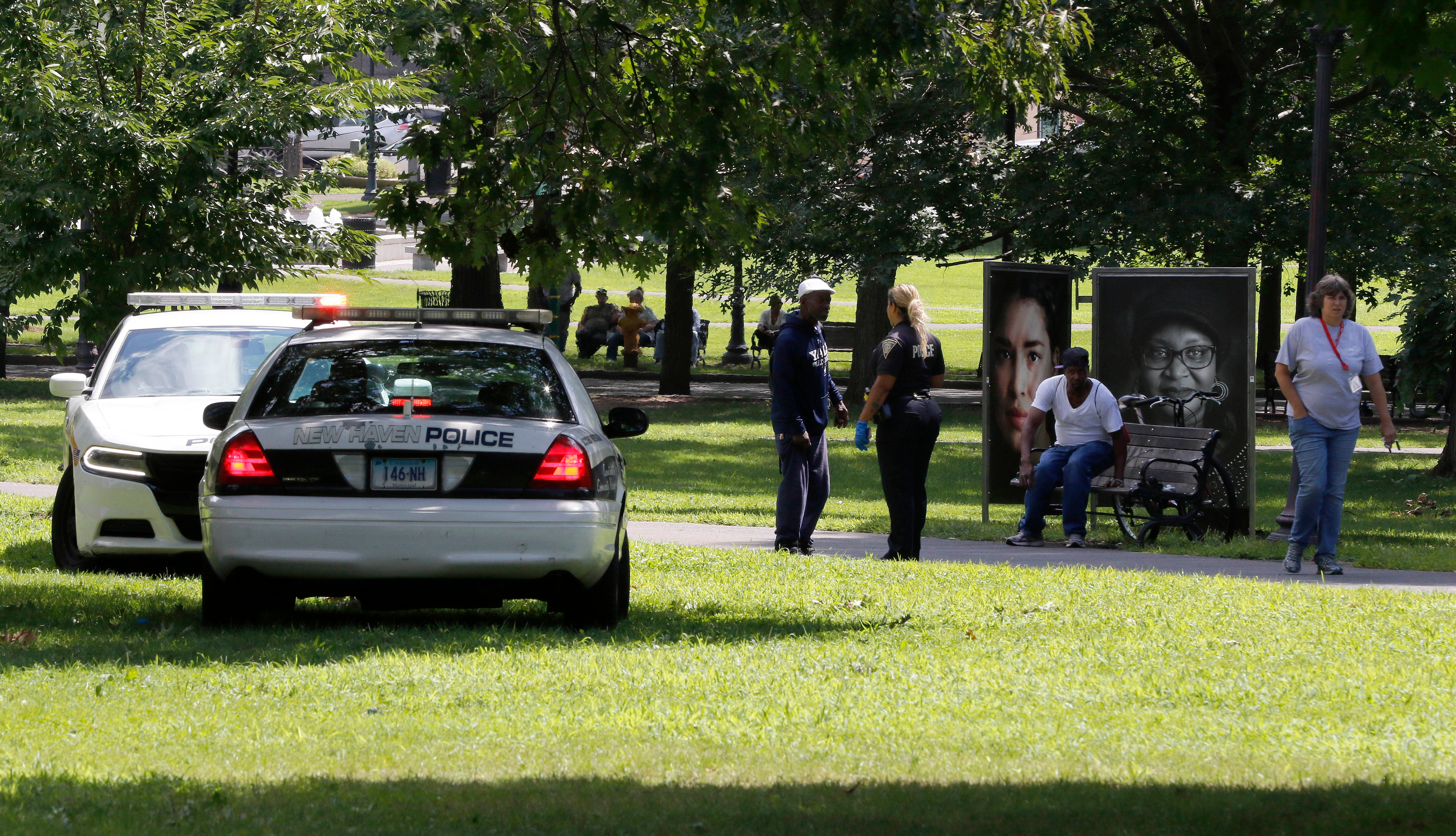 Police car on New Haven Green