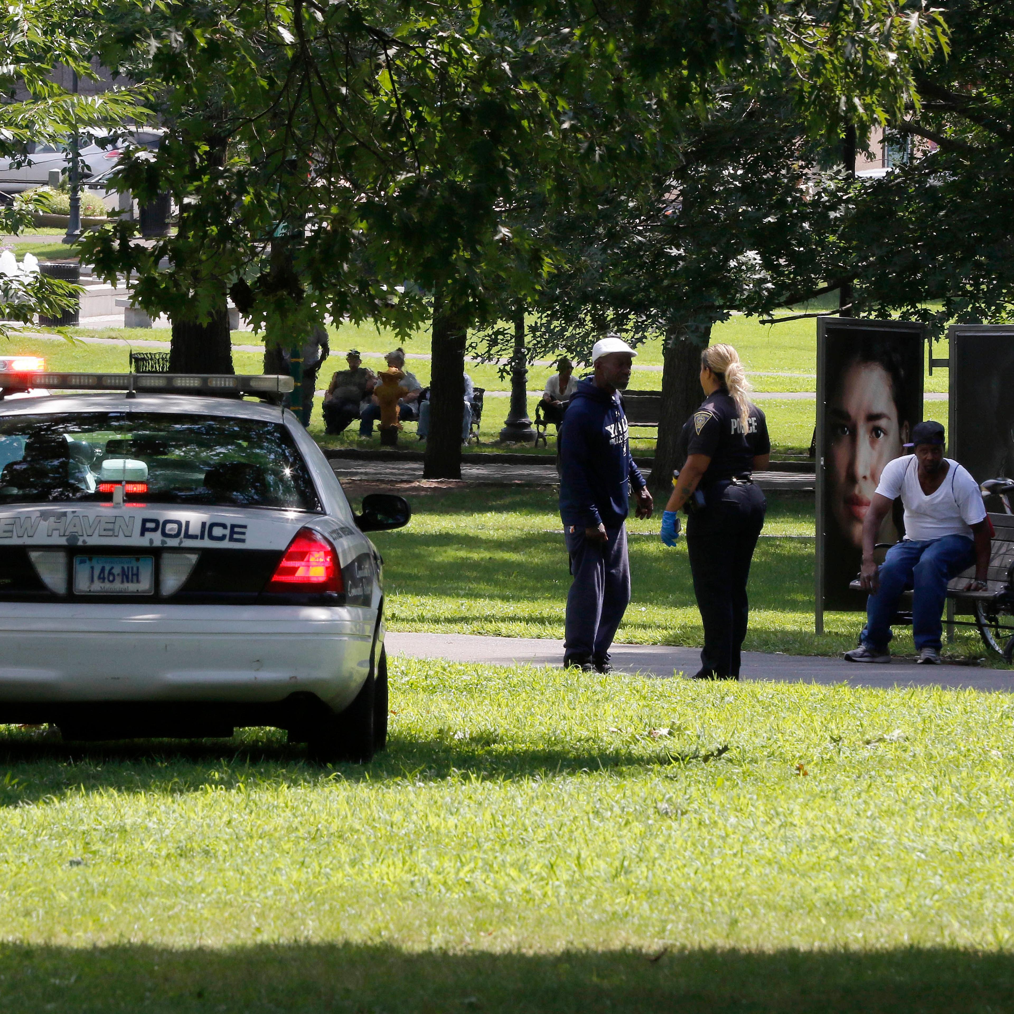 Police car on New Haven Green