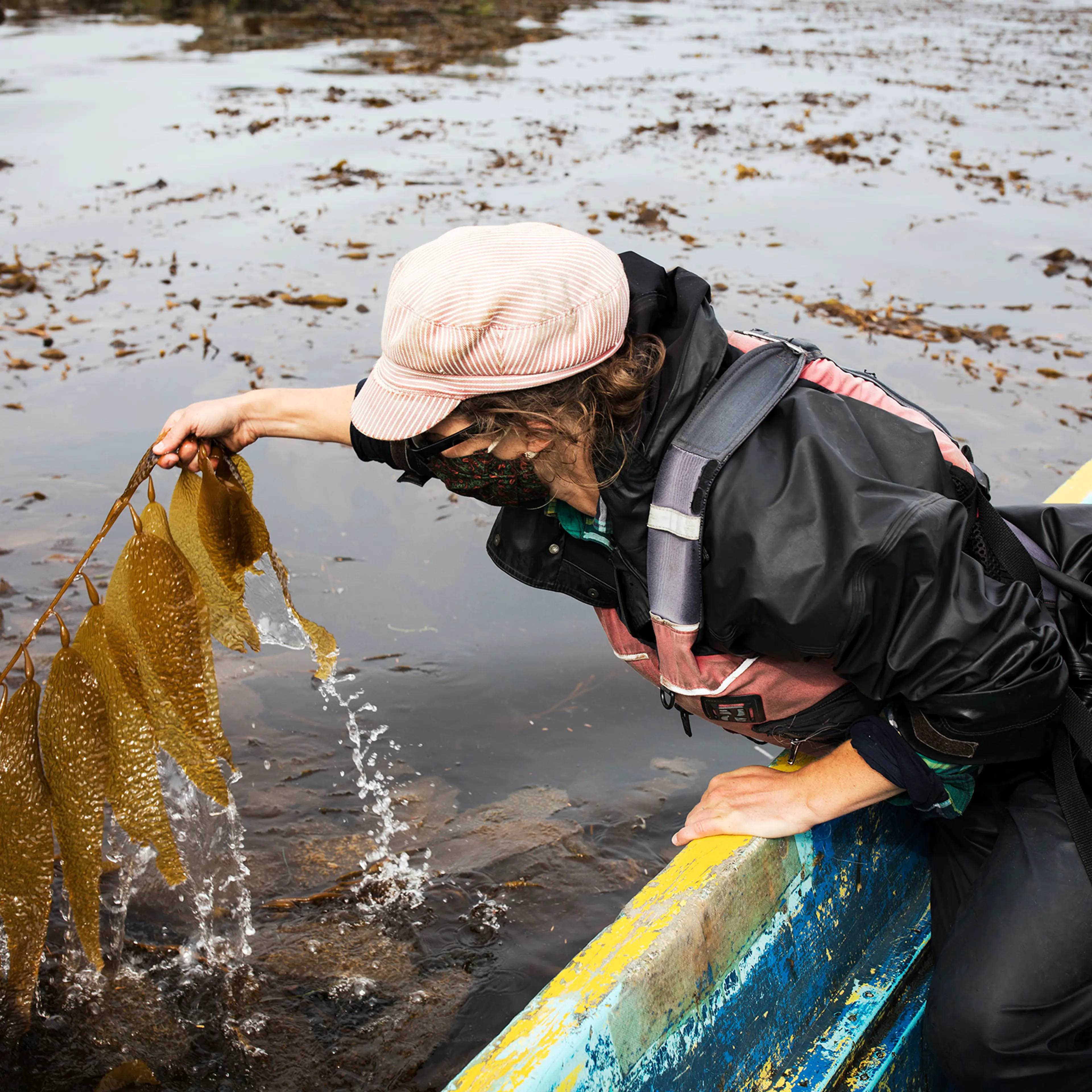 seaweed-farming-climate-02