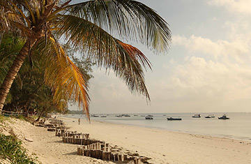 Where Have All the Tourists Gone?