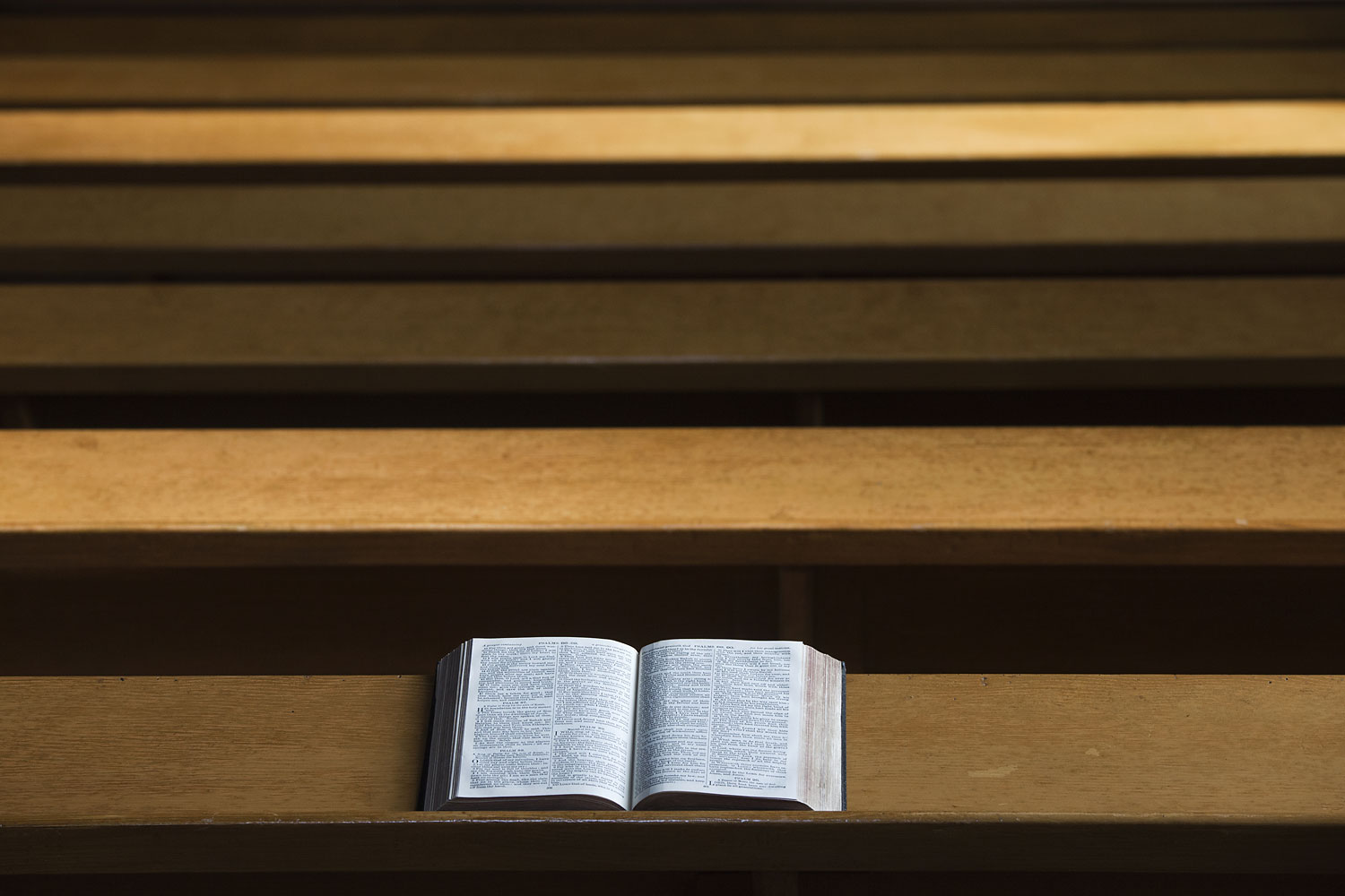 A Bible Open On A Wooden Bench