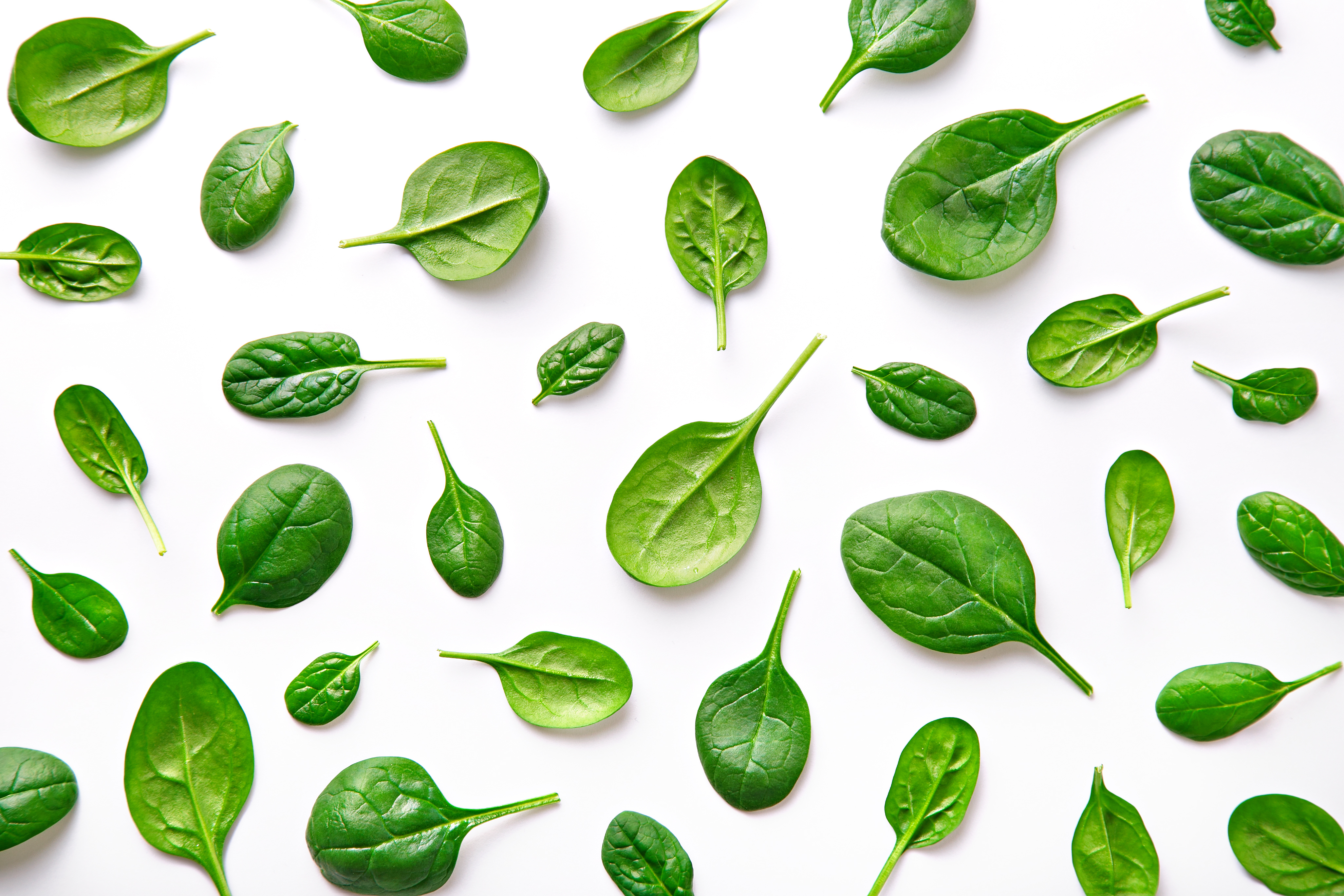 High Angle View Of Spinach Over White Background