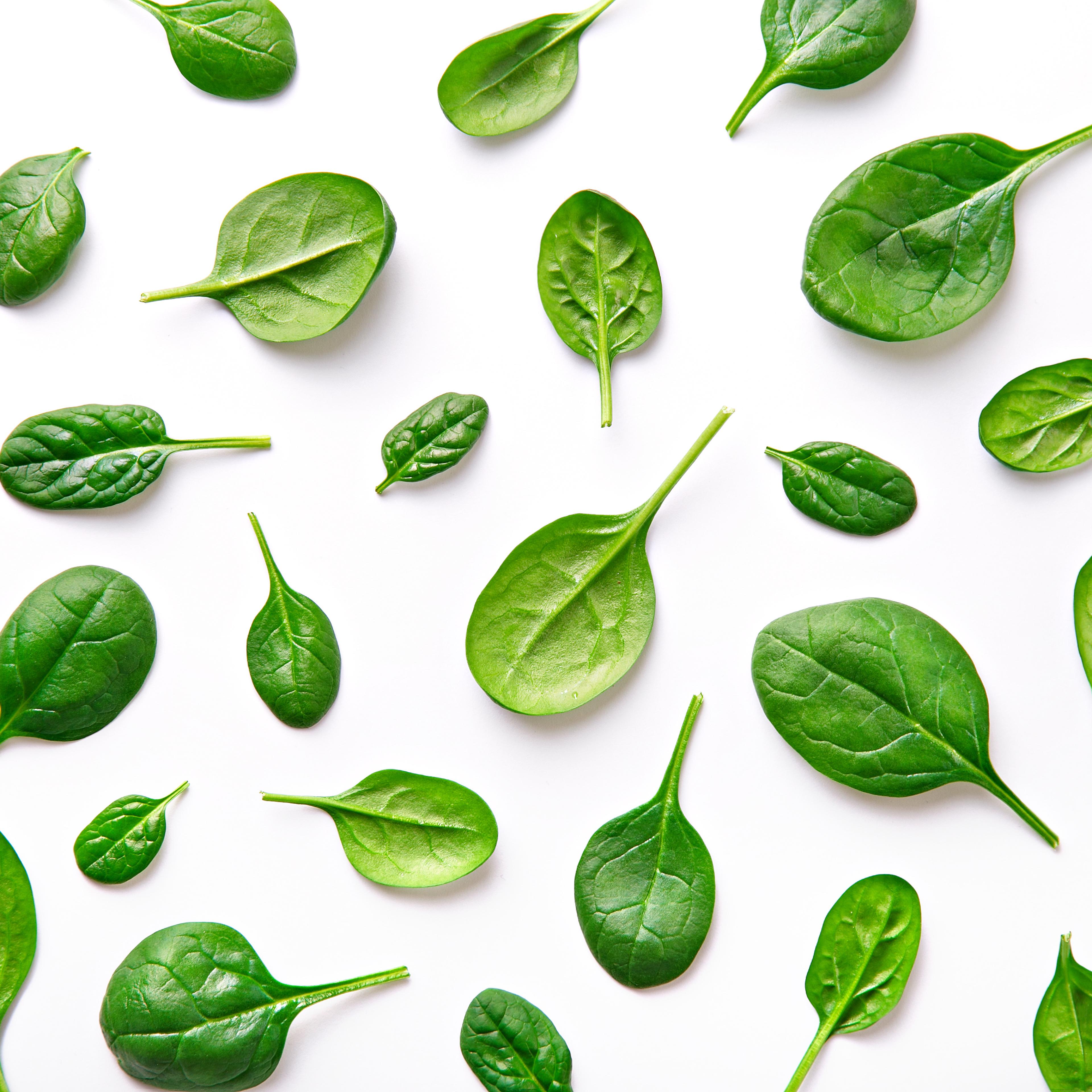 High Angle View Of Spinach Over White Background