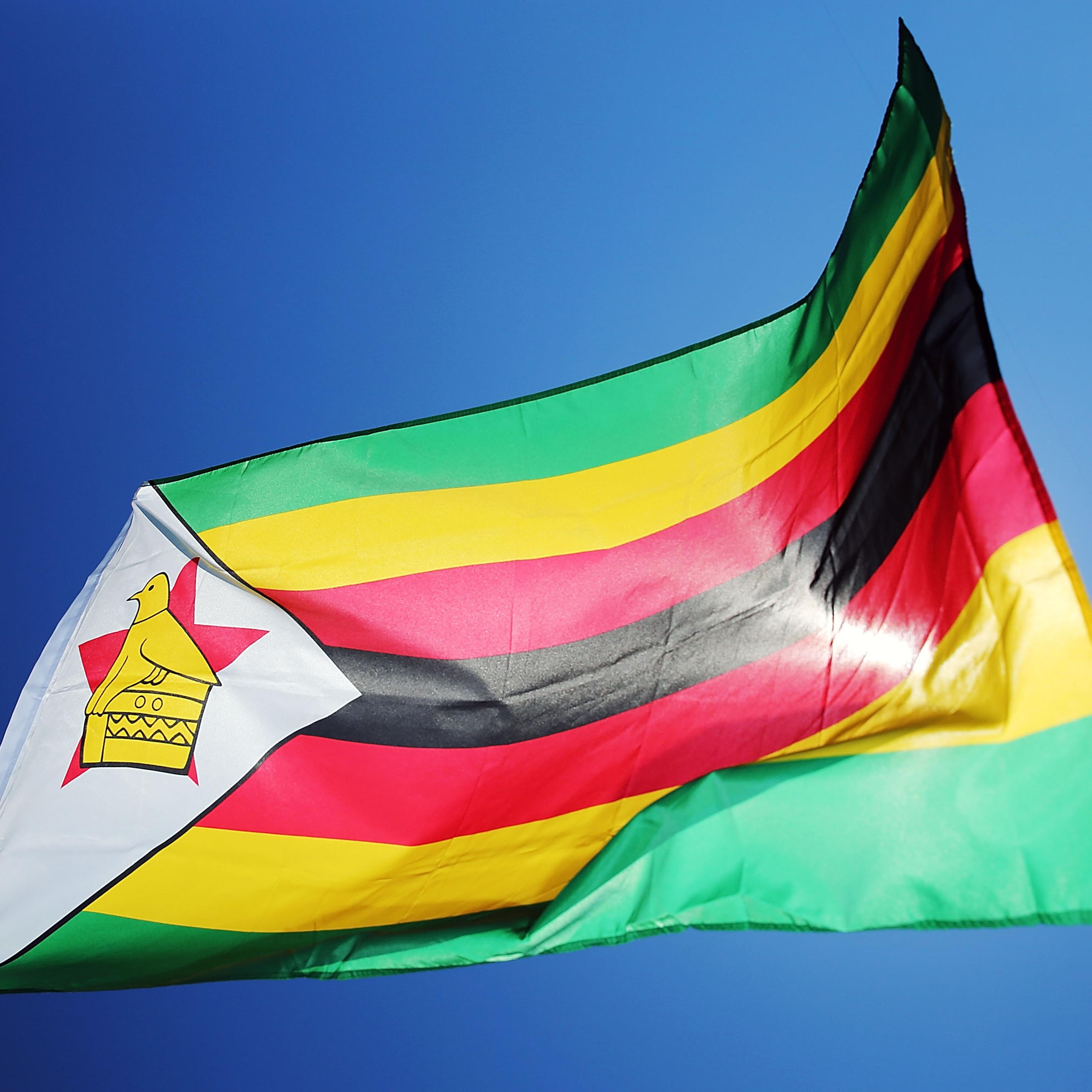 A Zimbabwe flag is seen during the 2015 ICC Cricket World Cup match between India and Zimbabwe at Eden Park on March 14, 2015 in Auckland, New Zealand.