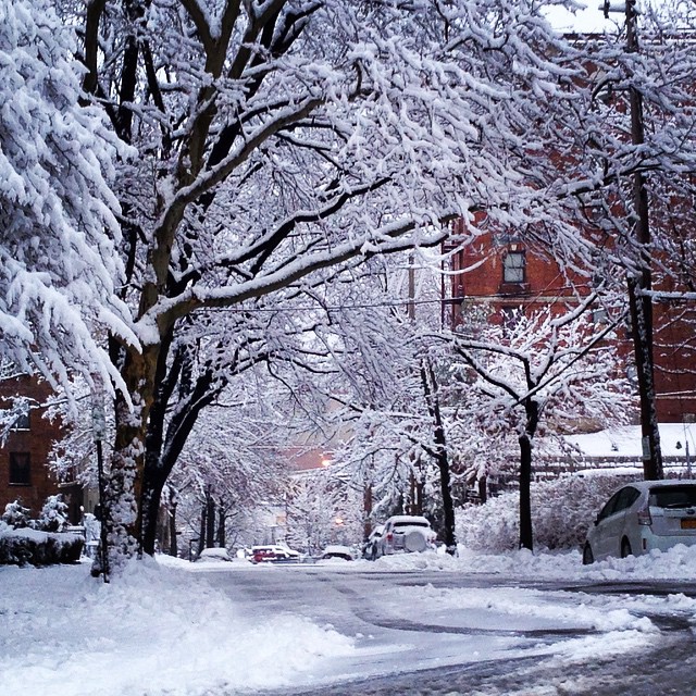 Instagram user @78ish posted this image of White Plains, NY saying "#wokeuptothis #Snow #white #beutiful #to #look #at #hate #to #clean #it #girlswillhavefun #NYC #WINTERWONDERLAND #WEneedsummer #cold"