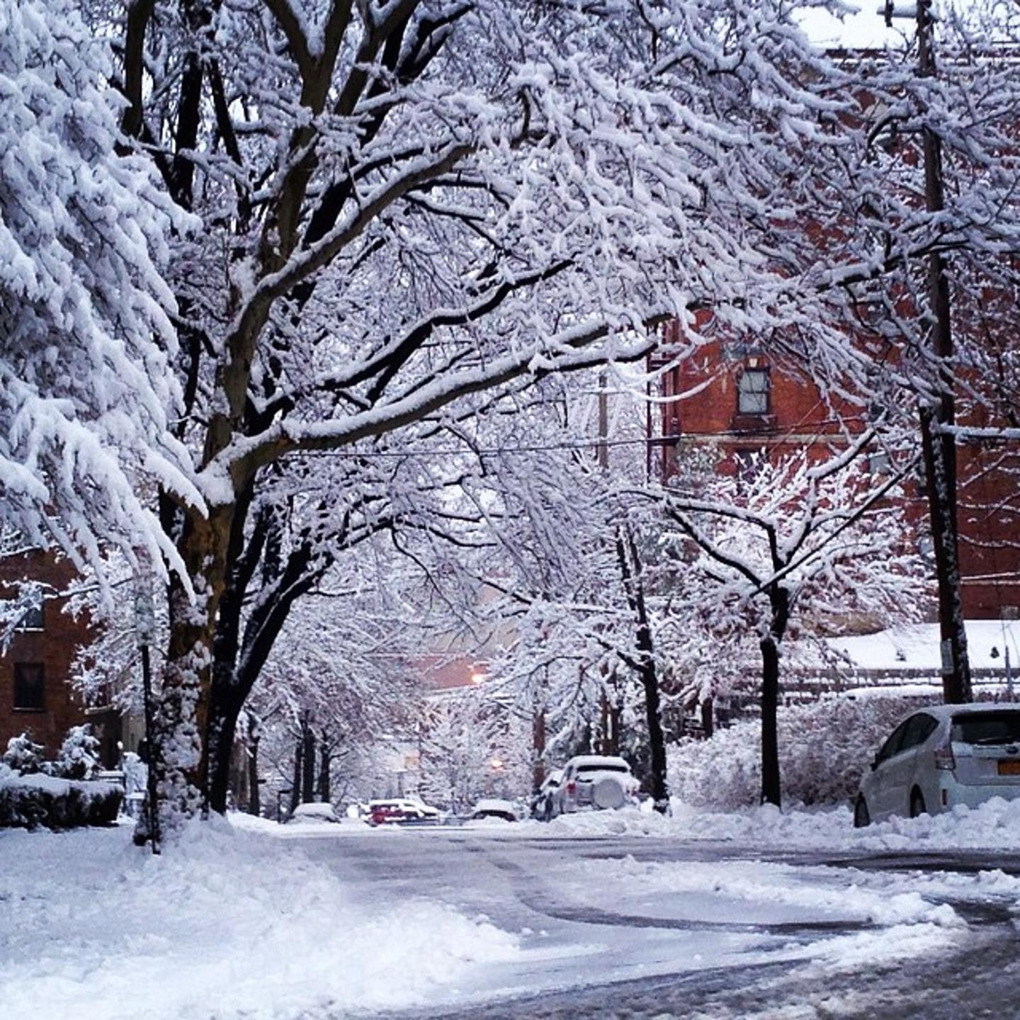 Instagram user @78ish posted this image of White Plains, NY saying "#wokeuptothis #Snow #white #beutiful #to #look #at #hate #to #clean #it #girlswillhavefun #NYC #WINTERWONDERLAND #WEneedsummer #cold"