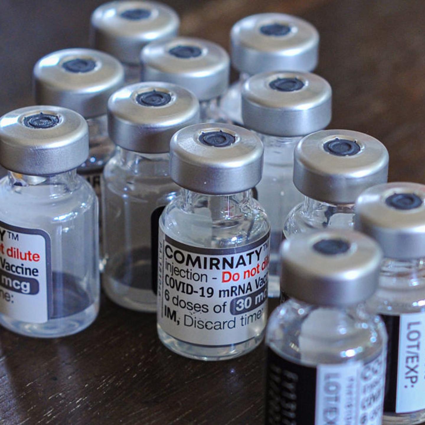 Vaccination Campaign for Covid-19 Booster Dose