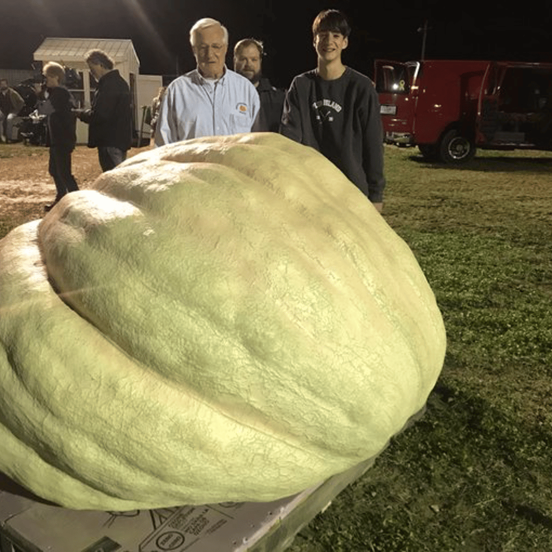 Steve Geddes shows off his record-breaking pumpkin