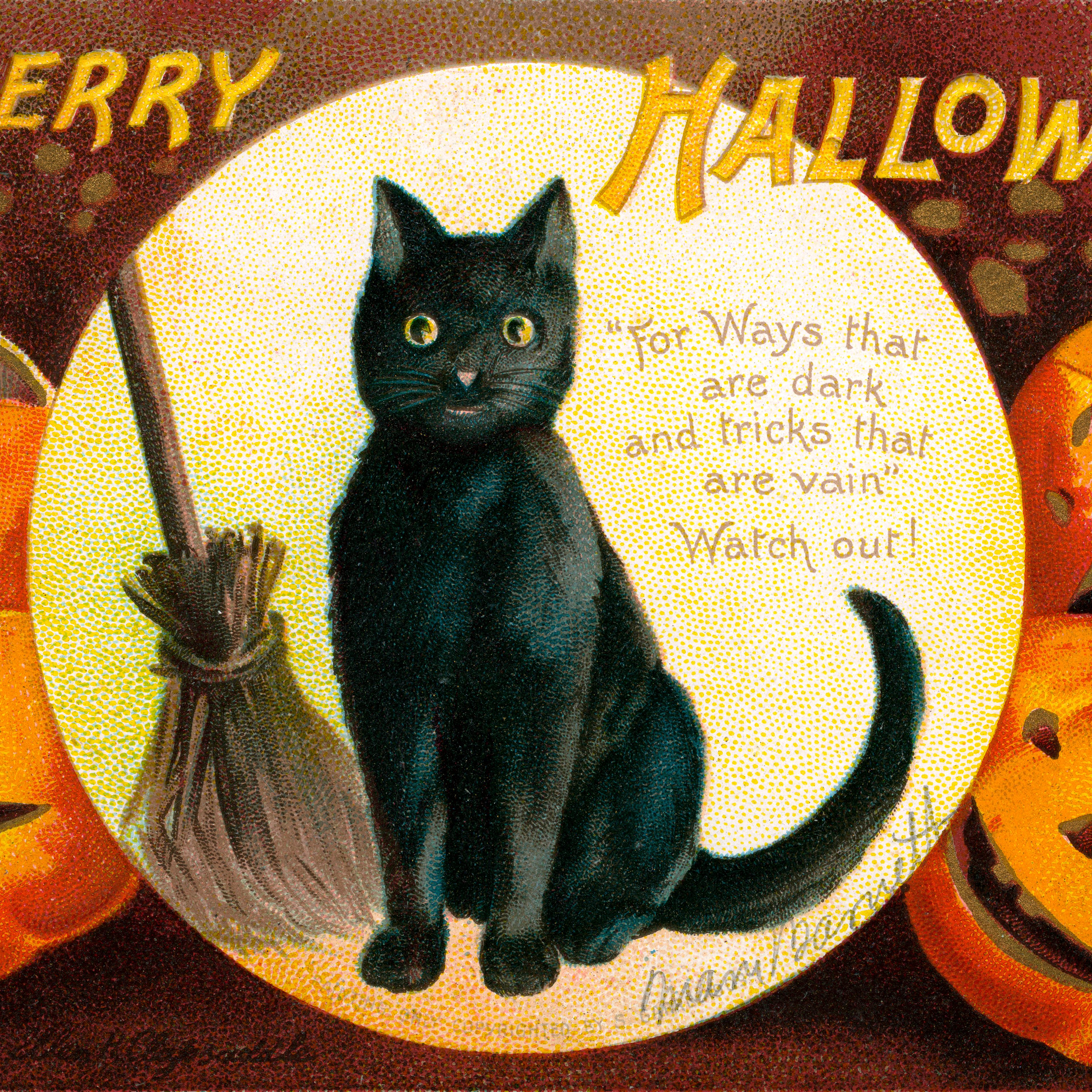 A Merry Halloween Illustration
