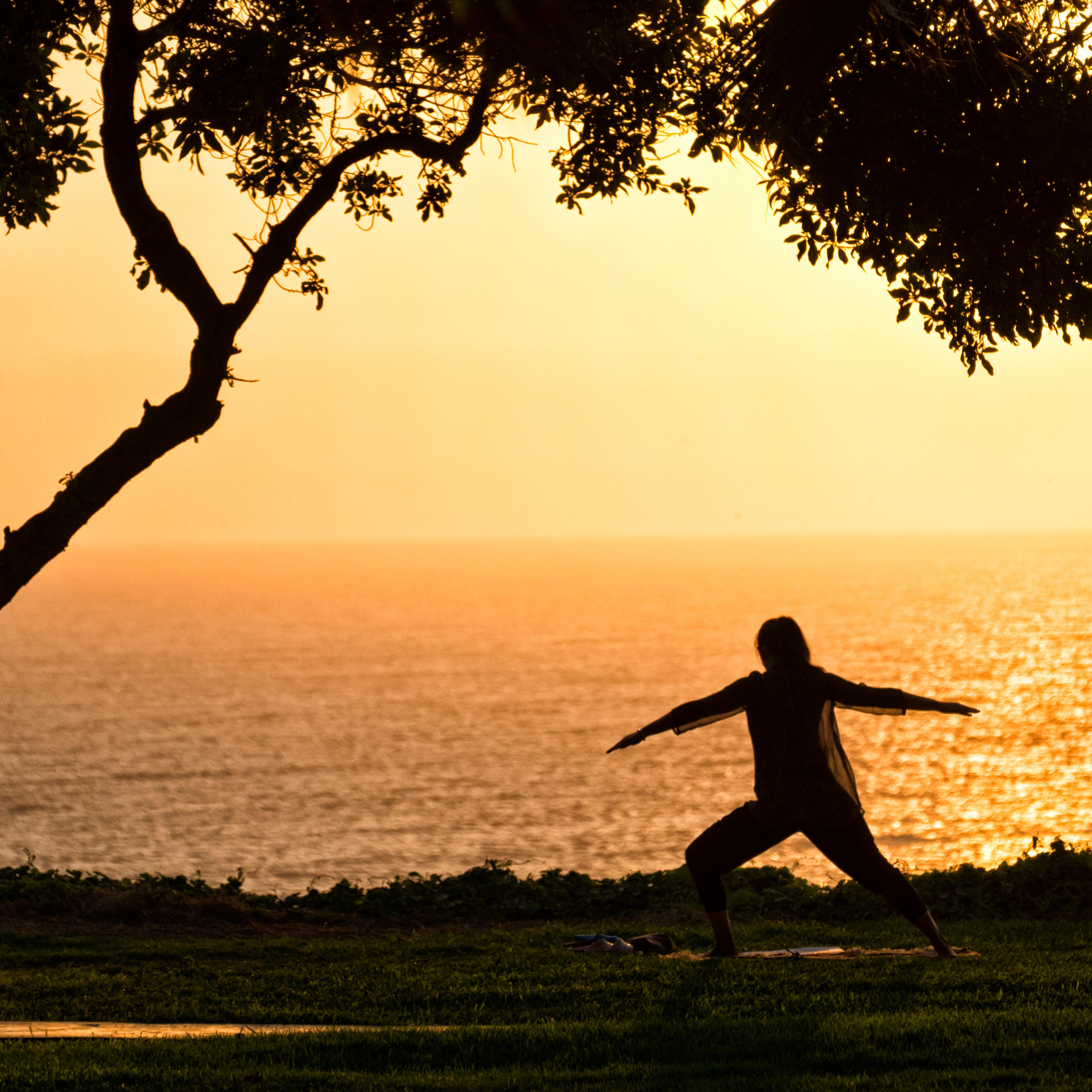 Person practicing tai chi by the sea at sunset