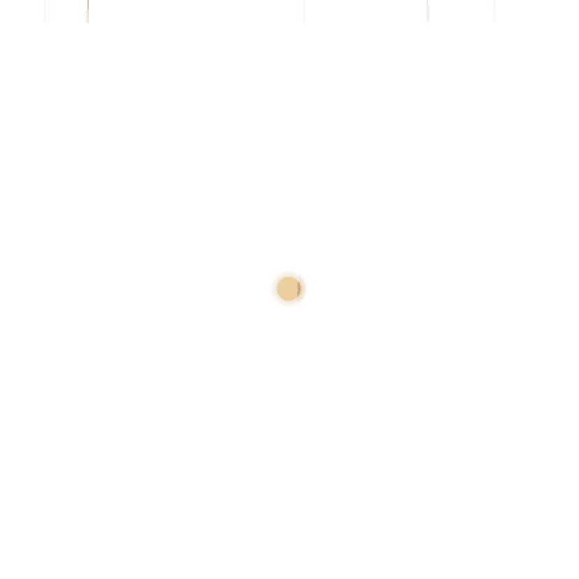 Burgers