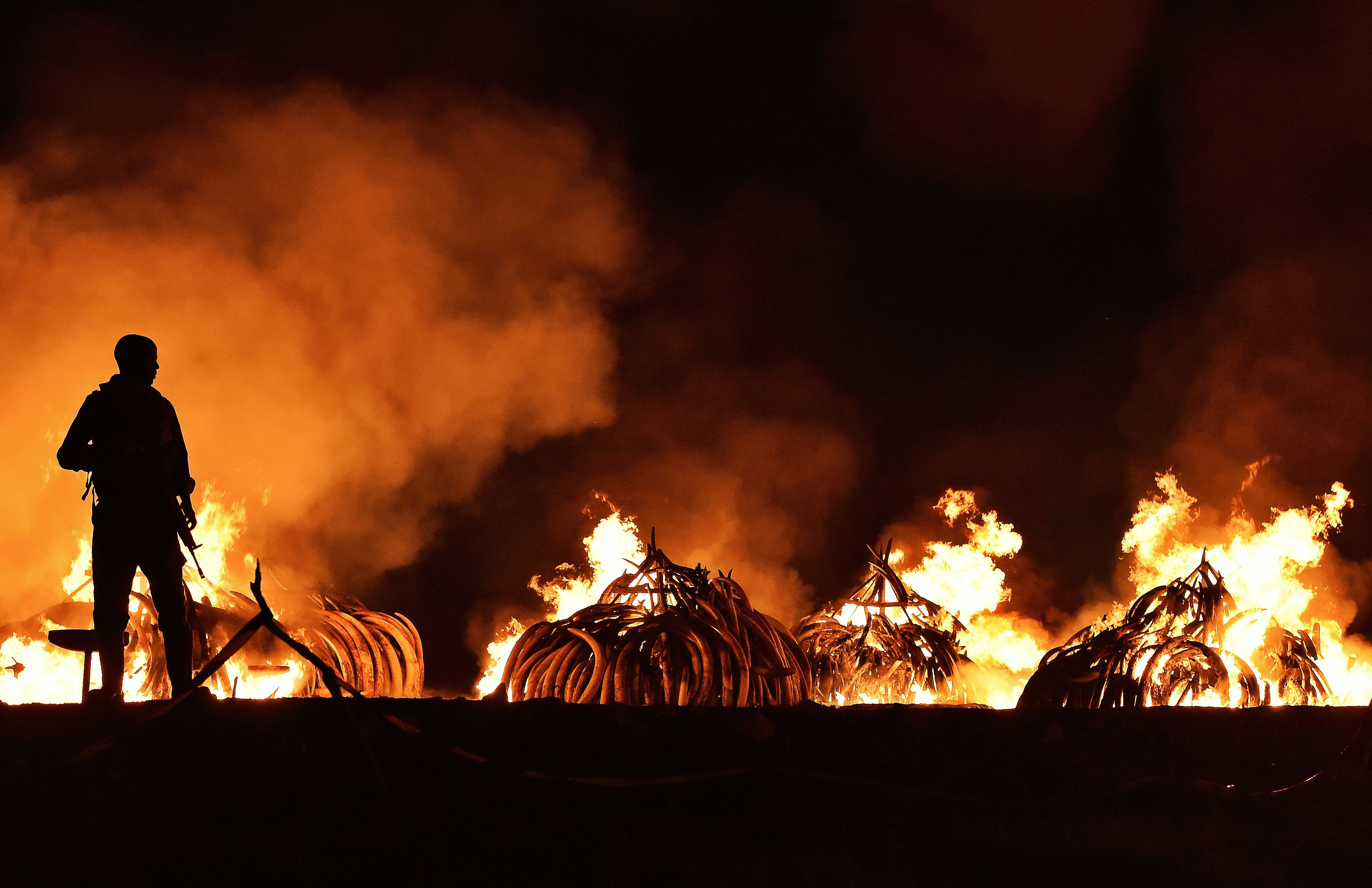TOPSHOT-KENYA-IVORY-WILDLIFE-FIRE