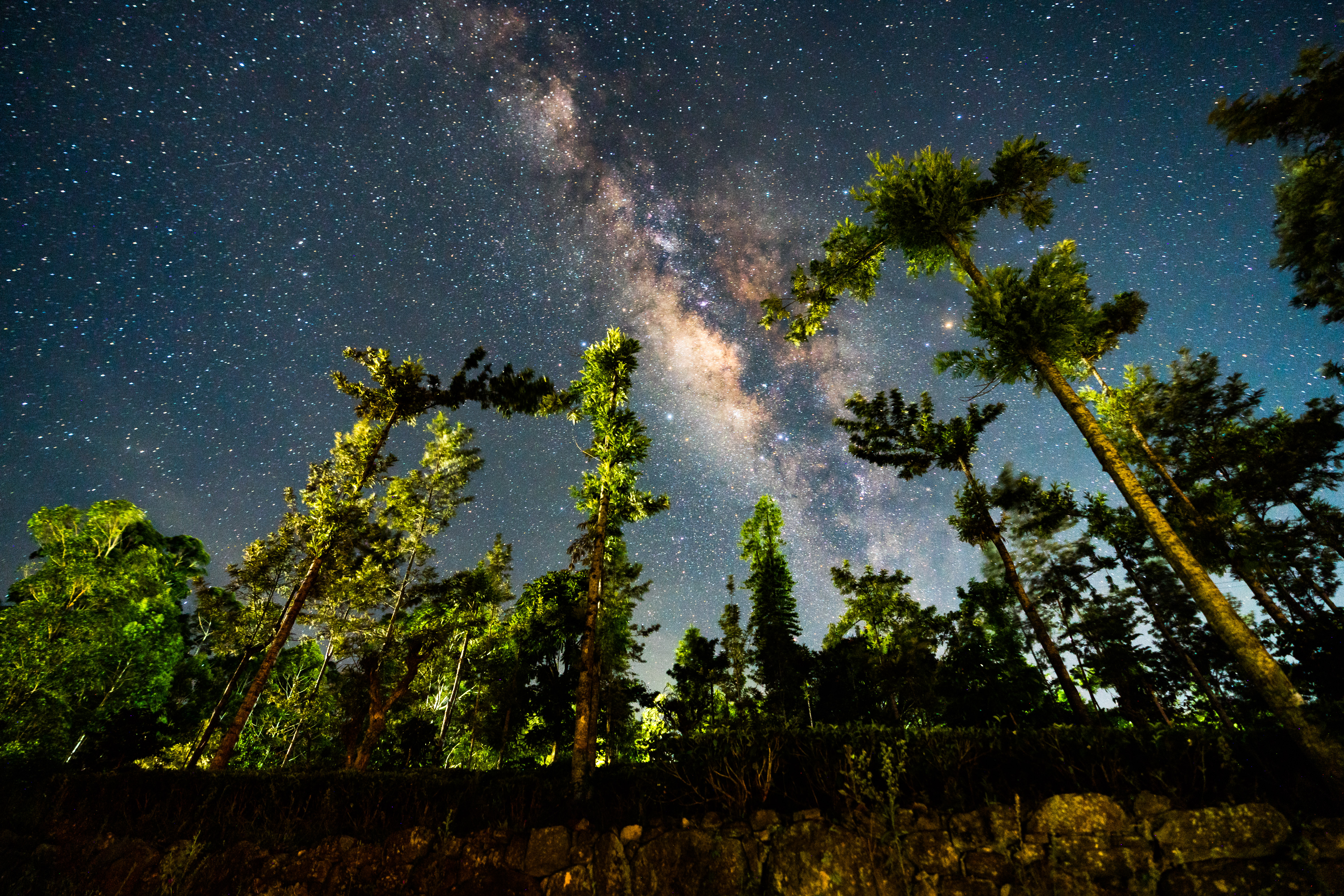 The Milky Way Is Seen Over The Forest In Haputale