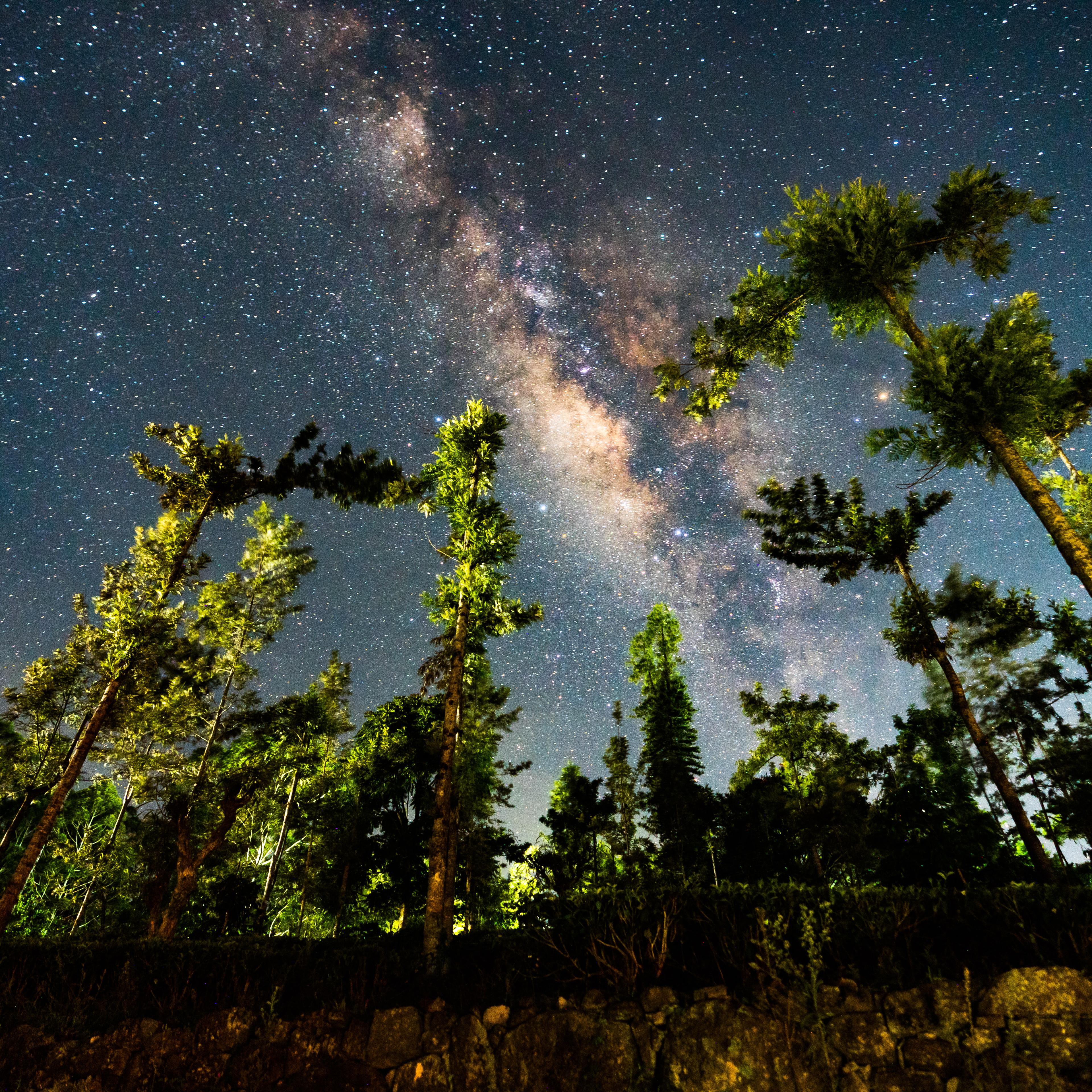 The Milky Way Is Seen Over The Forest In Haputale