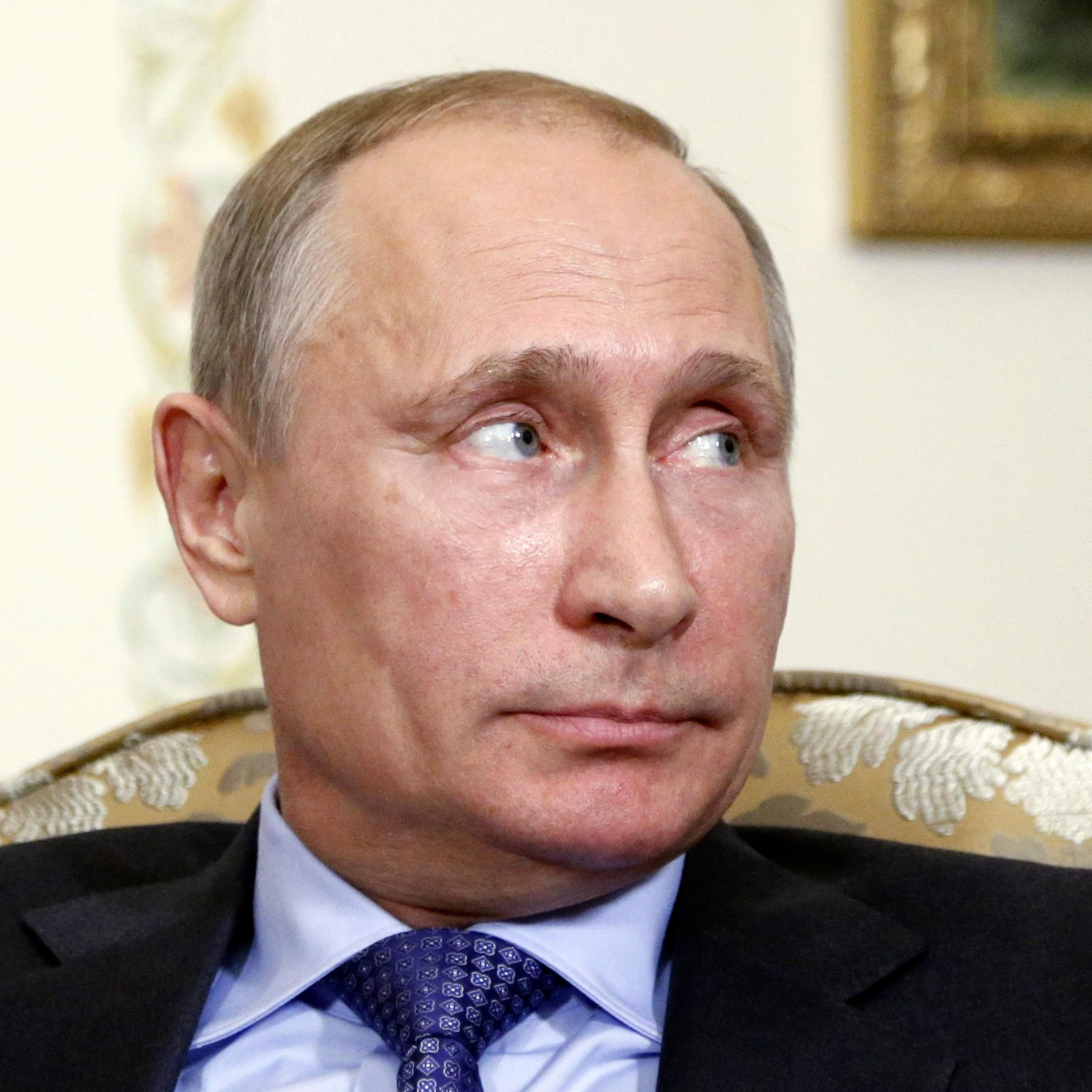 Russian President Vladimir Putin attends a meeting with Serbian Prime Minister Aleksandar Vucic at the Novo-Ogaryovo state residence outside Moscow