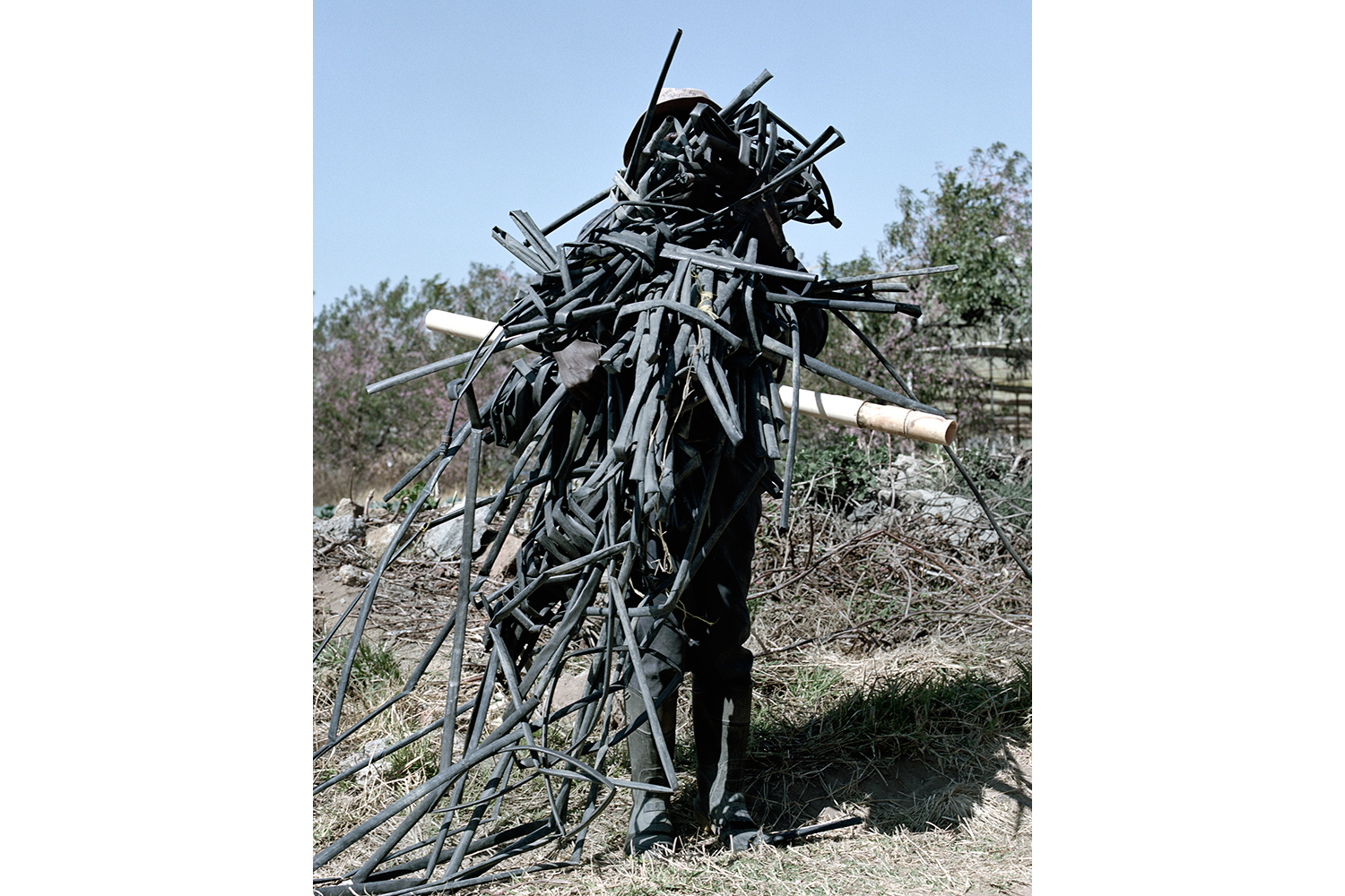 wander-2013.jpg?branch=
