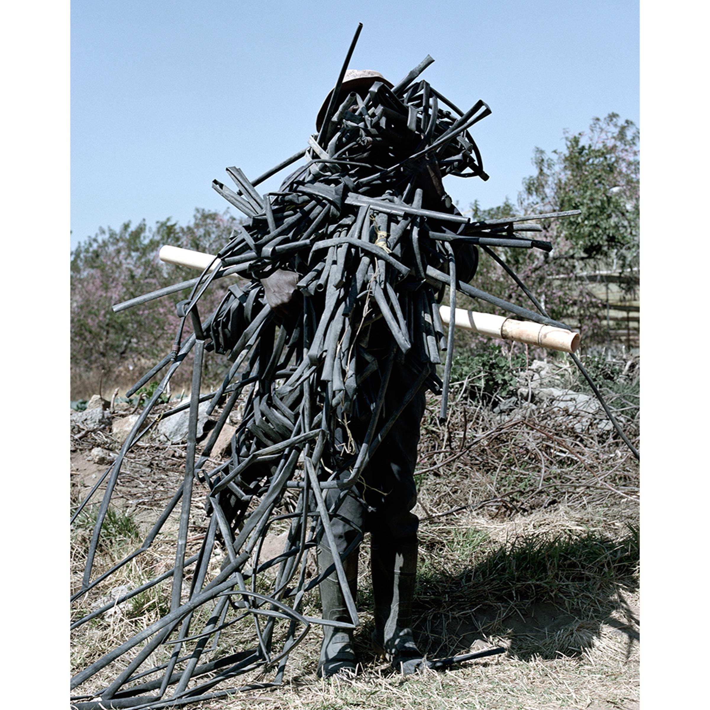 <i>Wander</i>, 2013