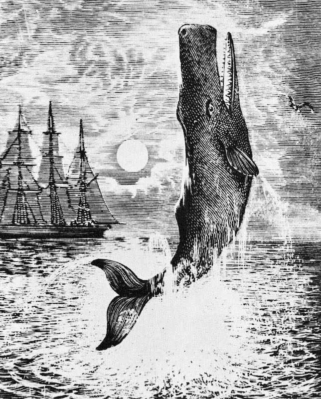 Moby Dick