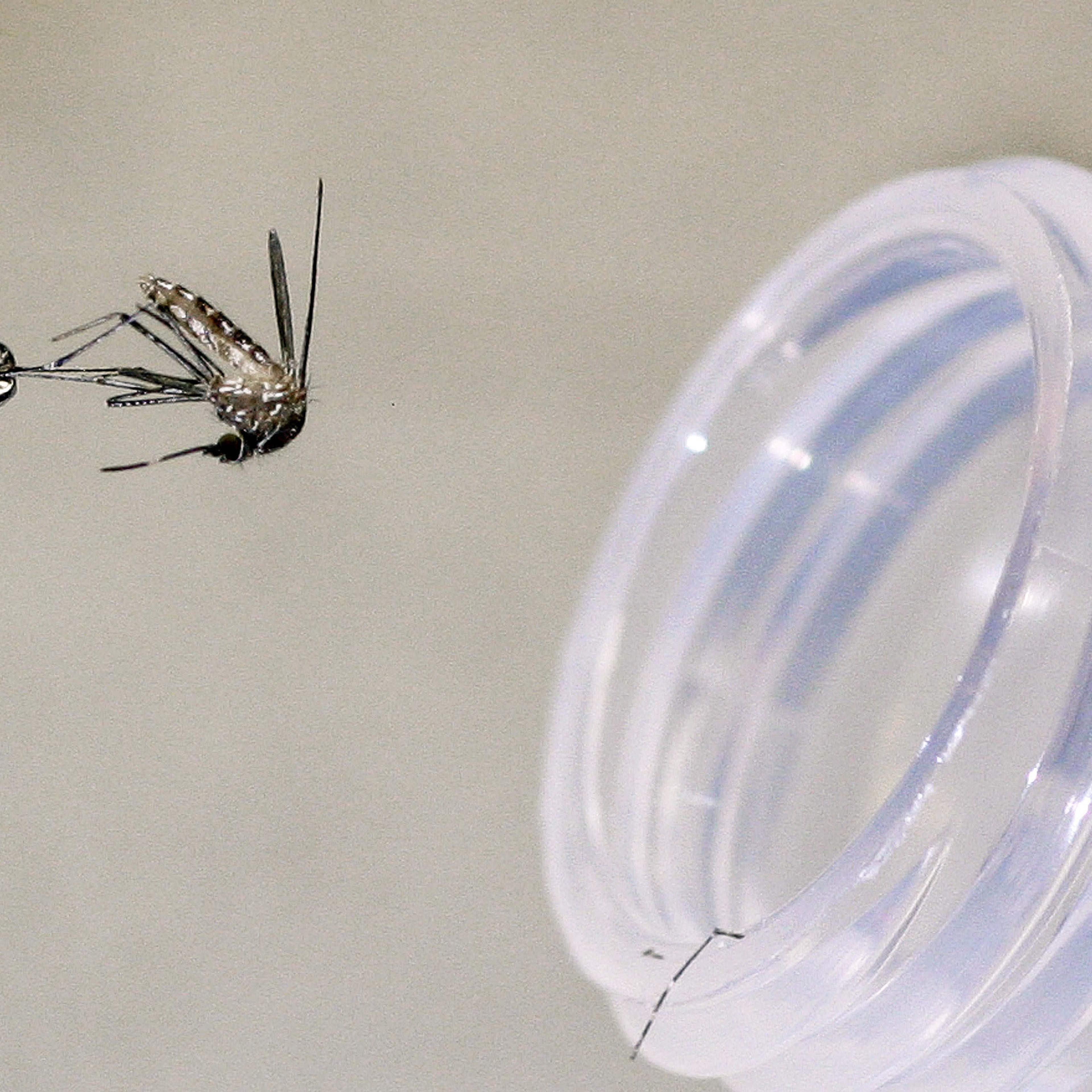 Arizona Officials Battle West Nile Virus