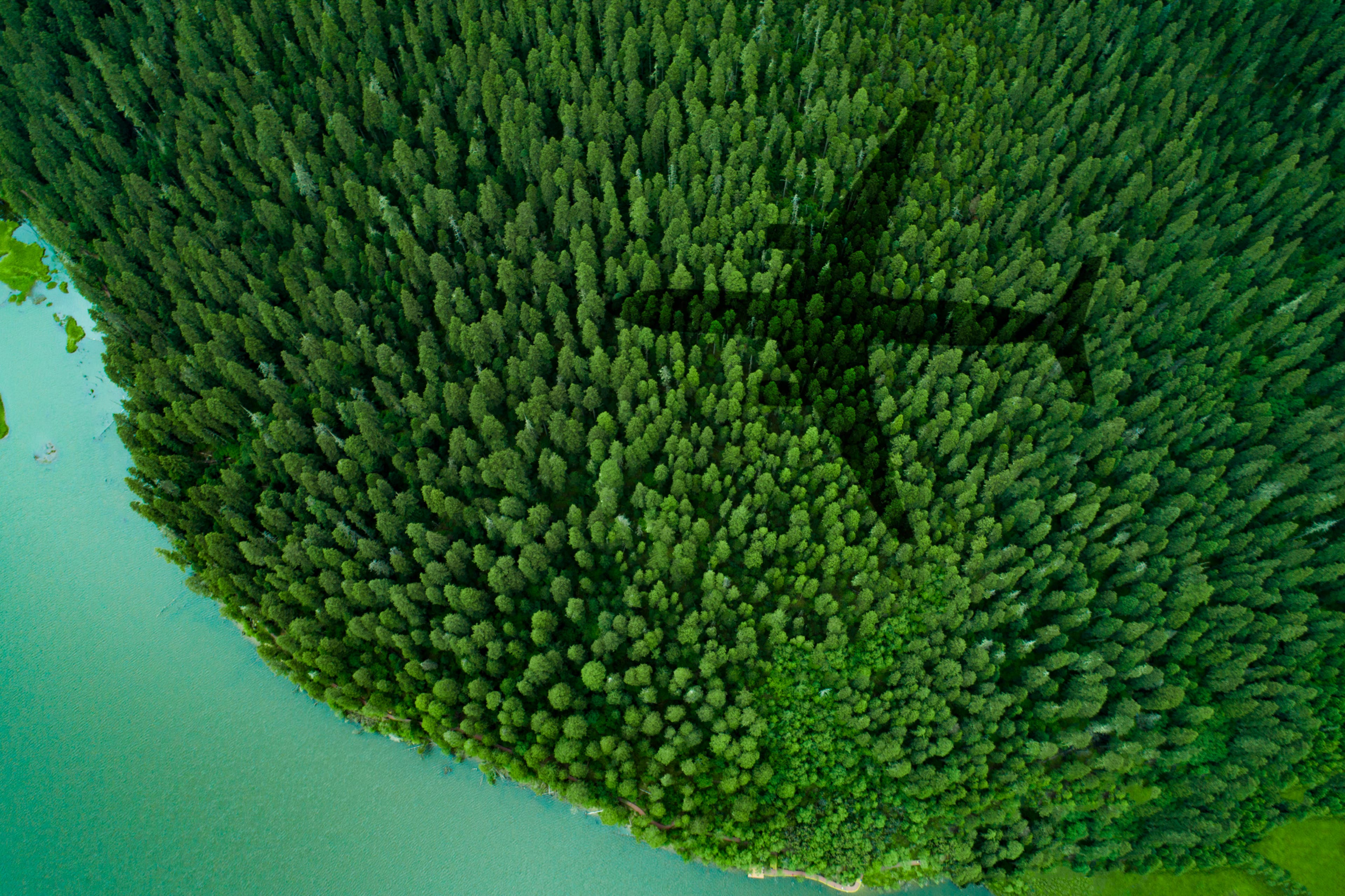 Shadow of airplane over forest and a lake