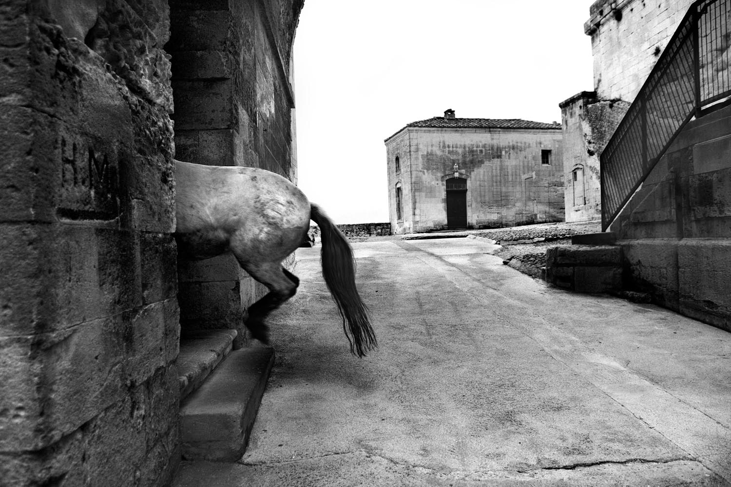 Nicolas Guilbert<br>
Abbaye de Montmajour, 2011.