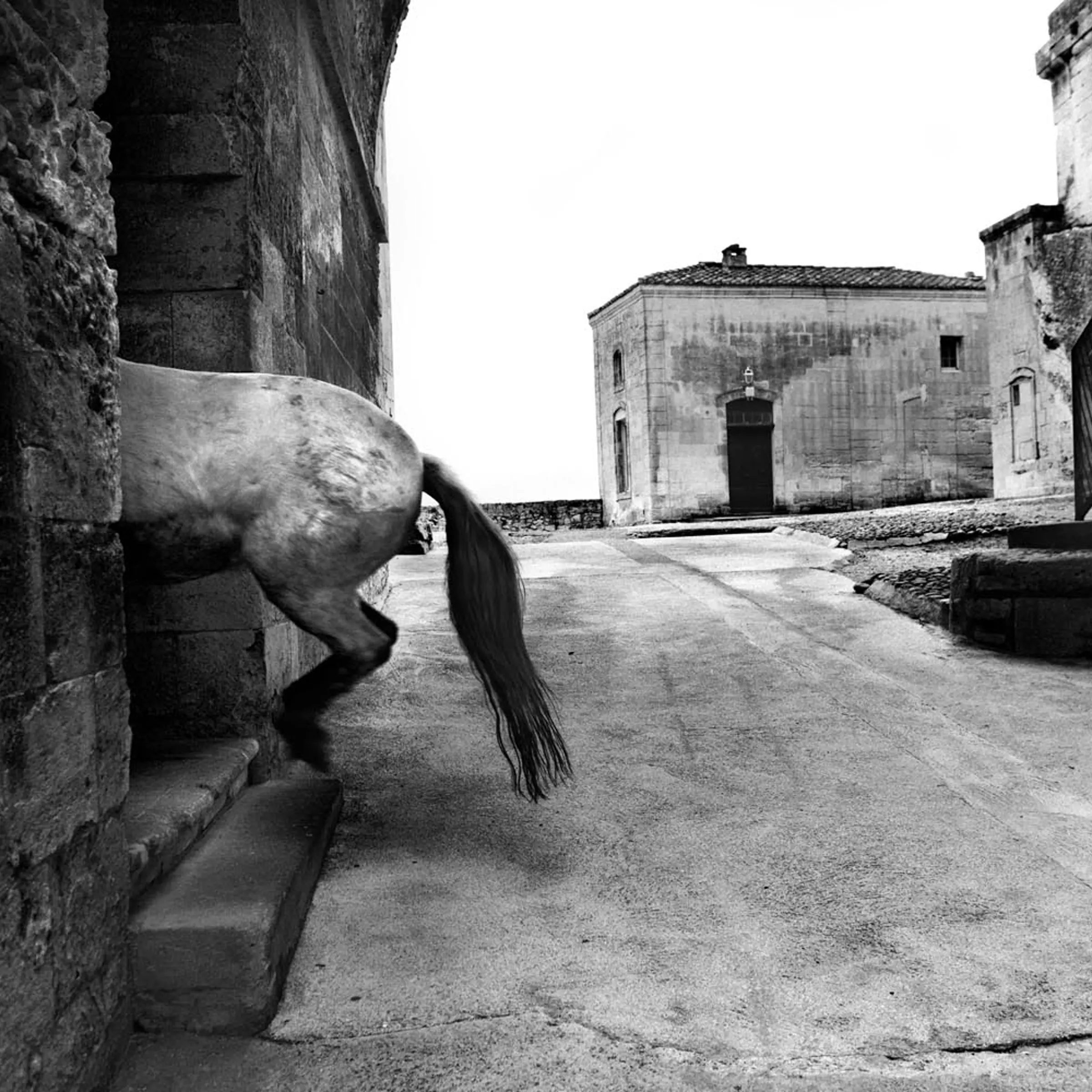 Nicolas Guilbert<br>
Abbaye de Montmajour, 2011.